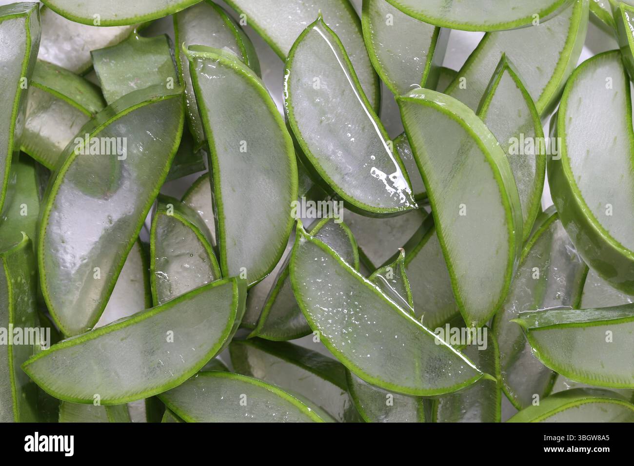 Un vivace primo piano di foglie di aloe vera a fette mette in mostra il gel traslucido all'interno, ideale per la cura della pelle, i rimedi naturali e i trattamenti benessere Foto Stock