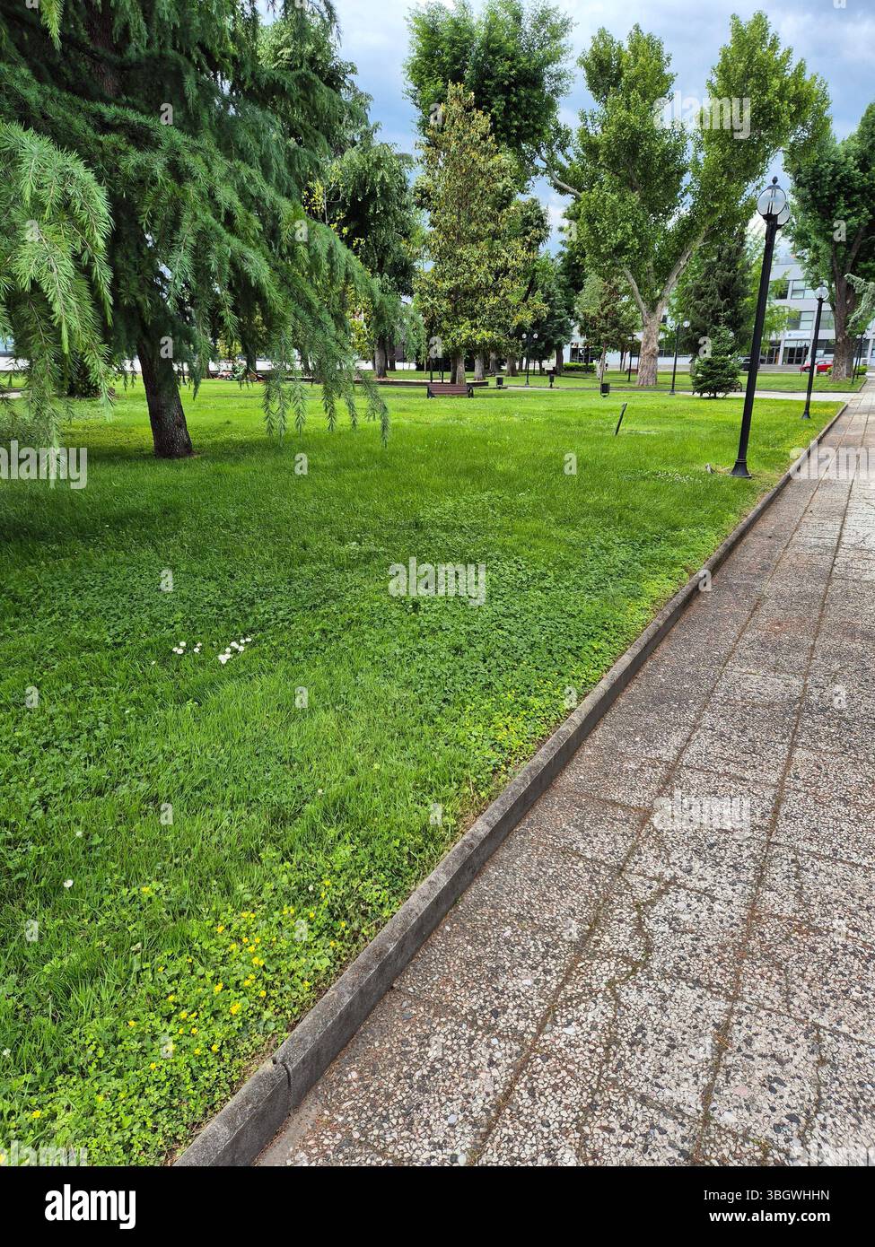 La vista sul parco era bellissima. alberi verdi e vicoli - Immagine stock catturata con smartphone