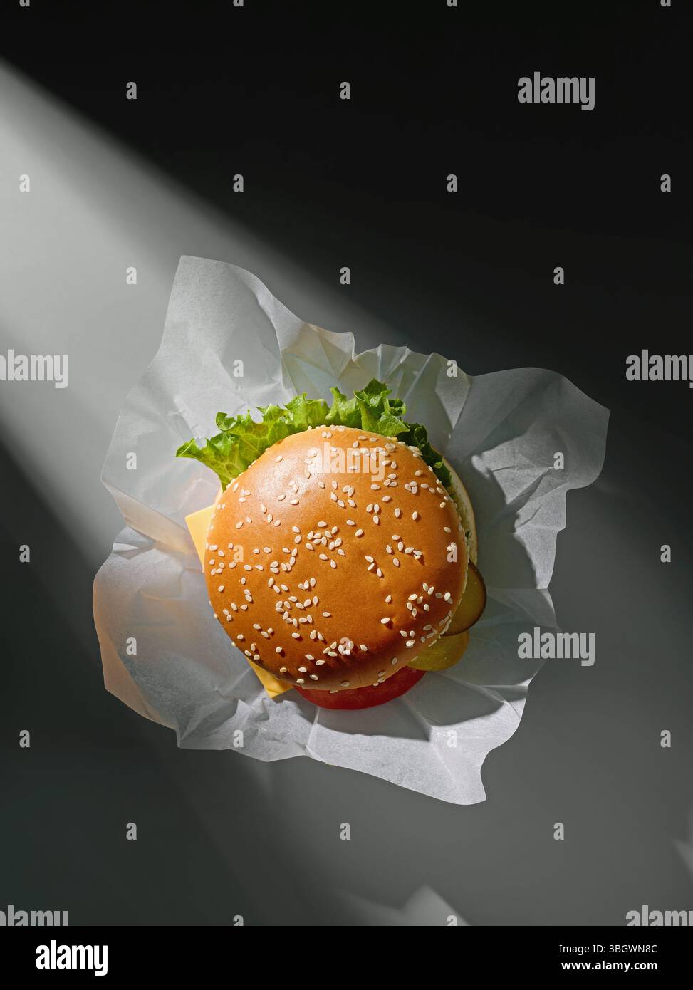 hamburger fresco e gustoso, vista dall'alto Foto Stock