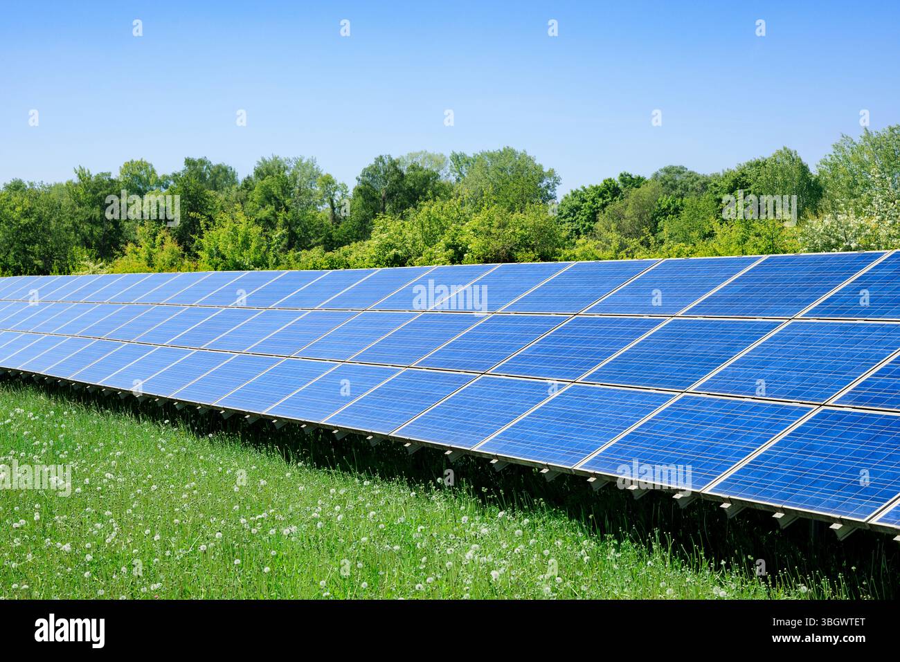 Un moderno sistema solare in un paesaggio verde e alberi sullo sfondo mostrano il progresso della produzione energetica sostenibile e la transizione verso l'ecolog Foto Stock