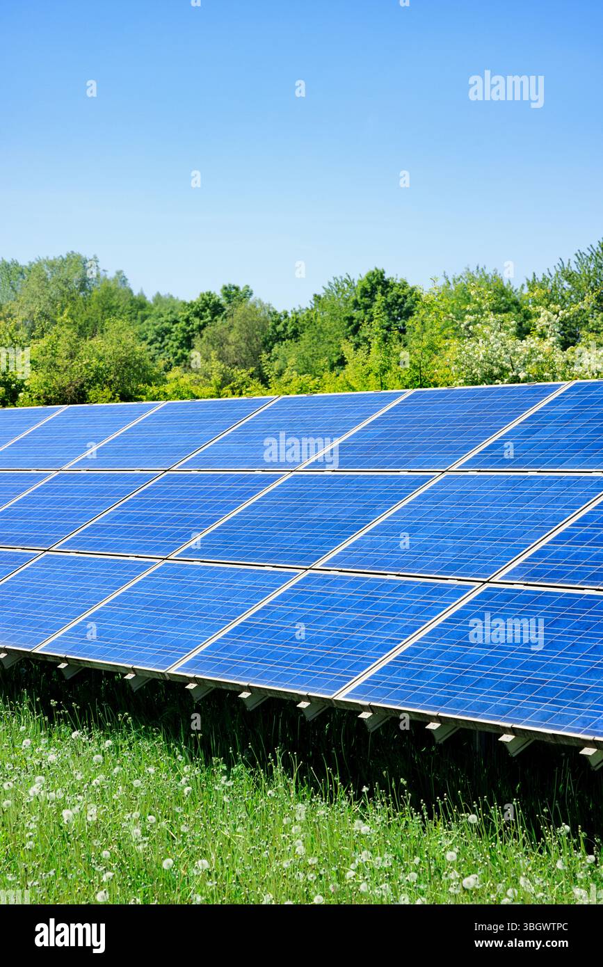 Un moderno sistema solare in un paesaggio verde e alberi sullo sfondo mostrano il progresso della produzione energetica sostenibile e la transizione verso l'ecolog Foto Stock