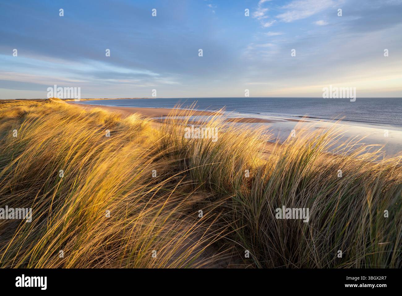 Inghilterra, Northumberland, Northumberland Heritage Coast. Luce mattutina sulle dune di sabbia del Druridge Links che si affaccia sulla baia di Druridge. Foto Stock