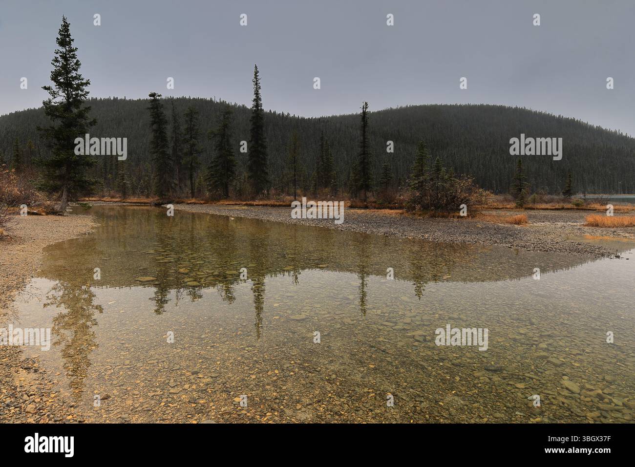 325 nevicata leggera su uno stagno laterale del fiume Mistaya che scorre lungo una foresta di conifere, quindi si svuota nel lago Lower Waterfowl. Banff NP-Alberta-Canada Foto Stock