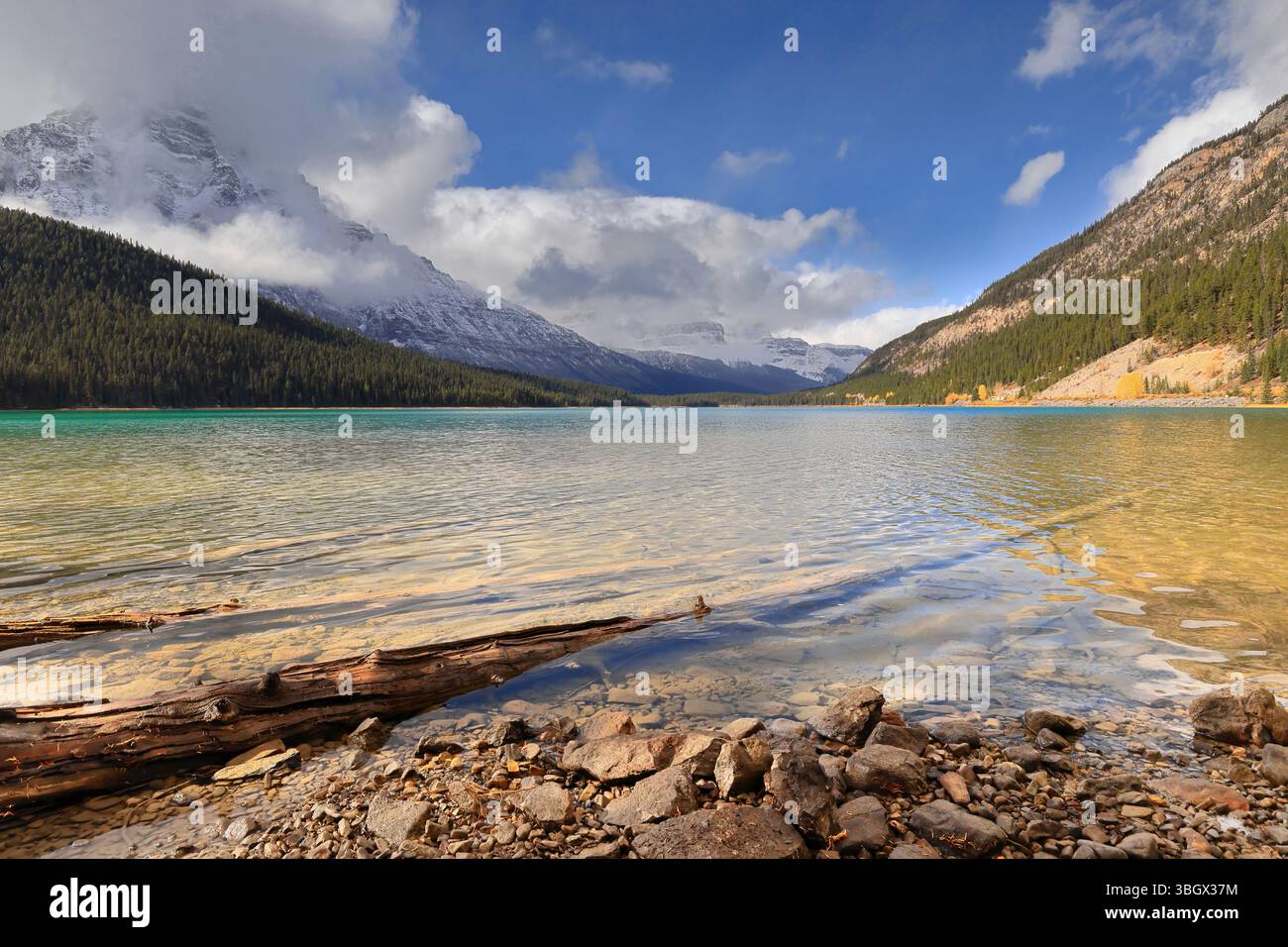 327 trasparente, blu turchese, verde smeraldo, parte inferiore del lago Waterfowl al piede della Waputik Range, tronchi caduti sulla costa sud-orientale. Banff NP-Alberta-Canada. Foto Stock