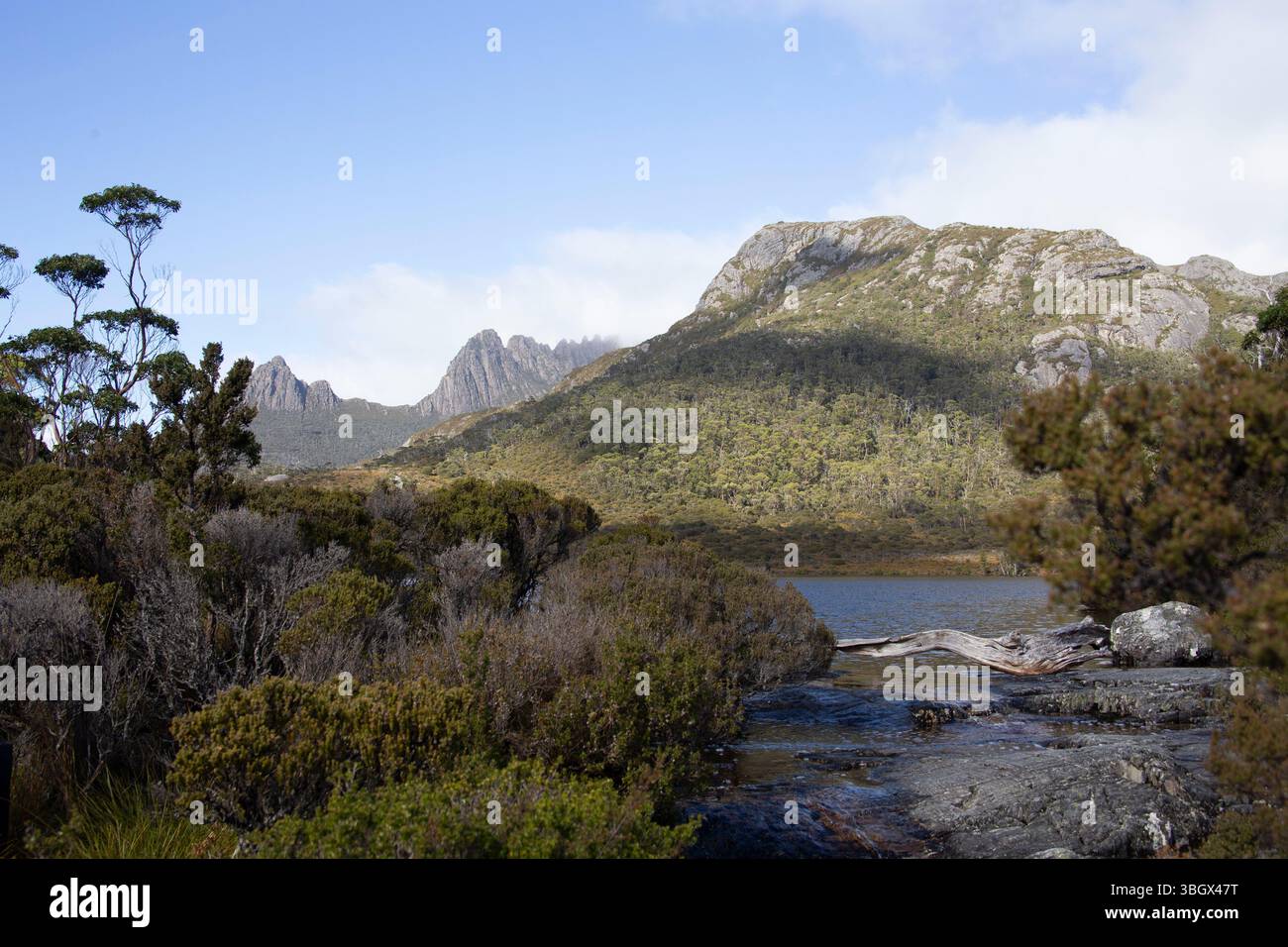 Cradle Mountain National Park, Tasmania, Australia. Foto Stock