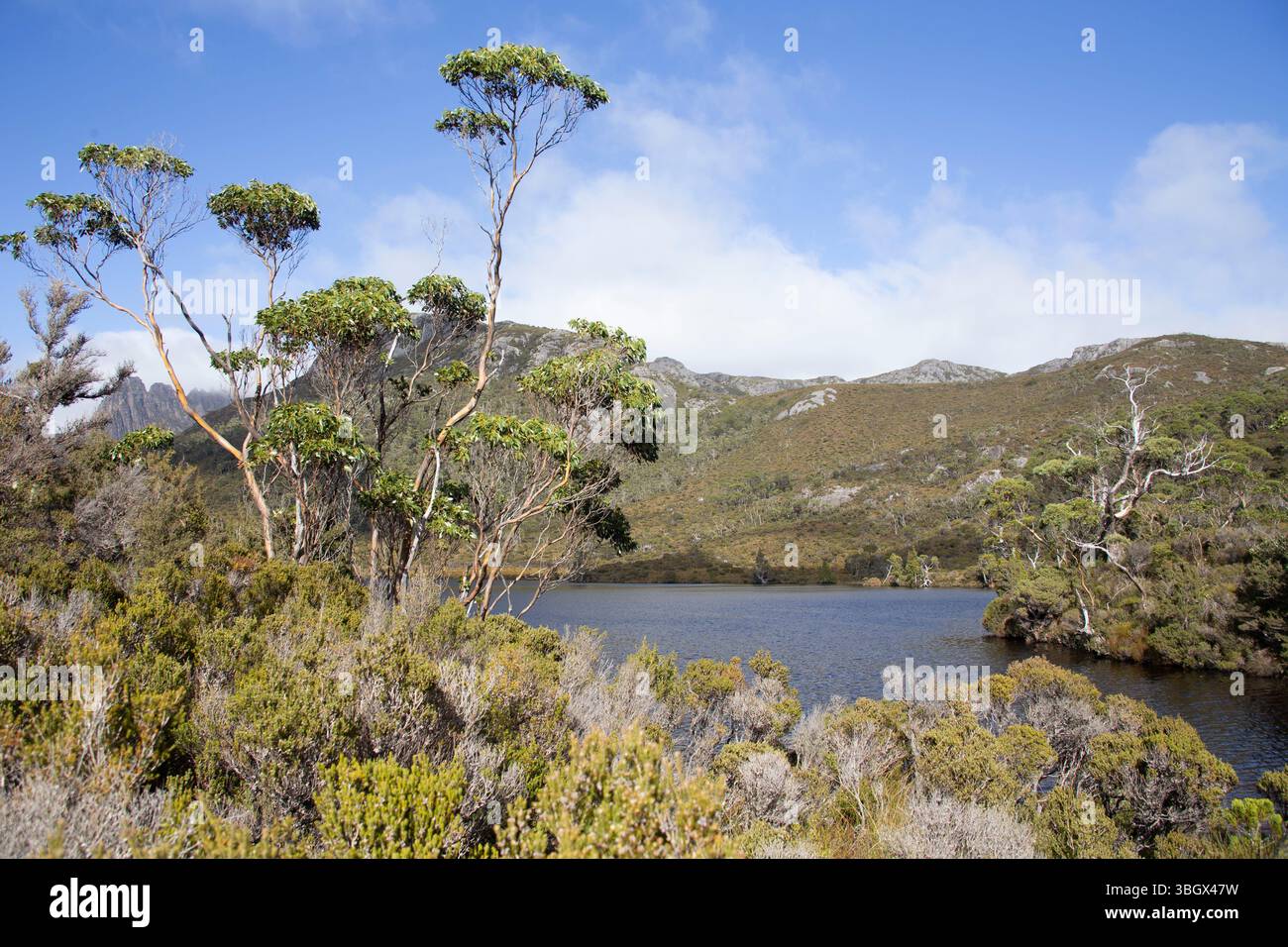 Cradle Mountain National Park, Tasmania, Australia. Foto Stock