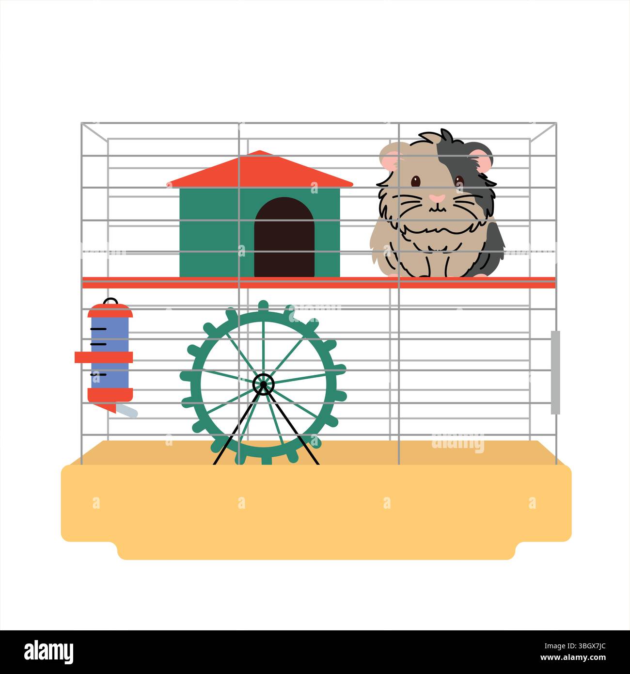 Illustrazione di una cavia all'interno di una spaziosa gabbia con una bottiglia d'acqua, una ruota per esercizi e una piccola casa. Concetto per la cura degli animali domestici, piccoli habitat animali Illustrazione Vettoriale