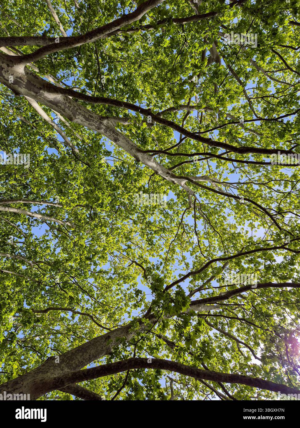 Splendida vista panoramica dalla città di Banyoles in Spagna. Foto Stock