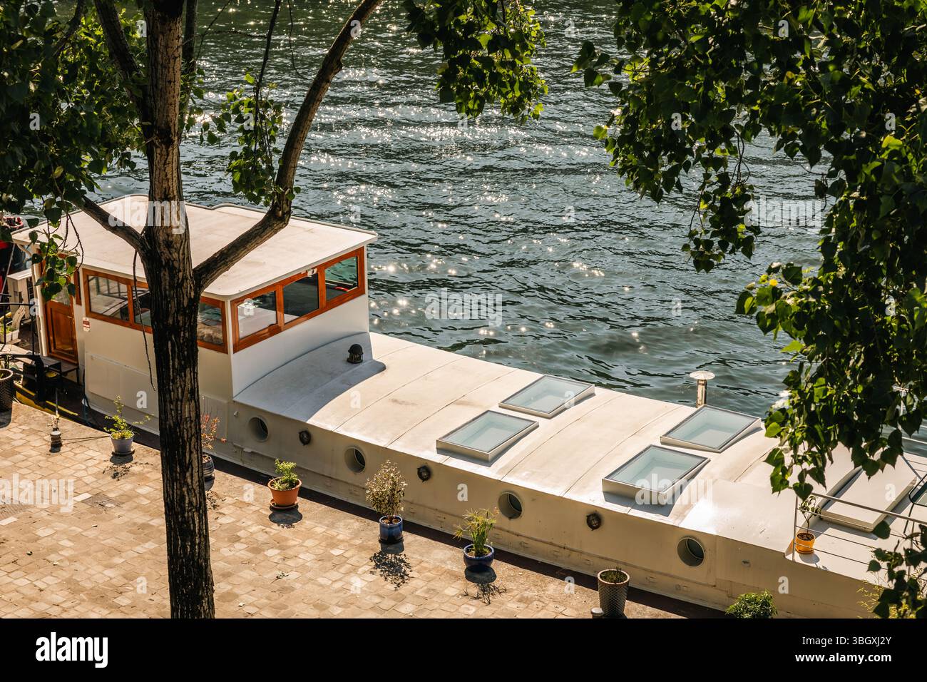 Vista dall'alto attraverso i rami degli alberi, una moderna casa galleggiante bianca è ancorata pacificamente lungo un fiume scintillante, che incarna un'unica e tranquilla acqua Foto Stock