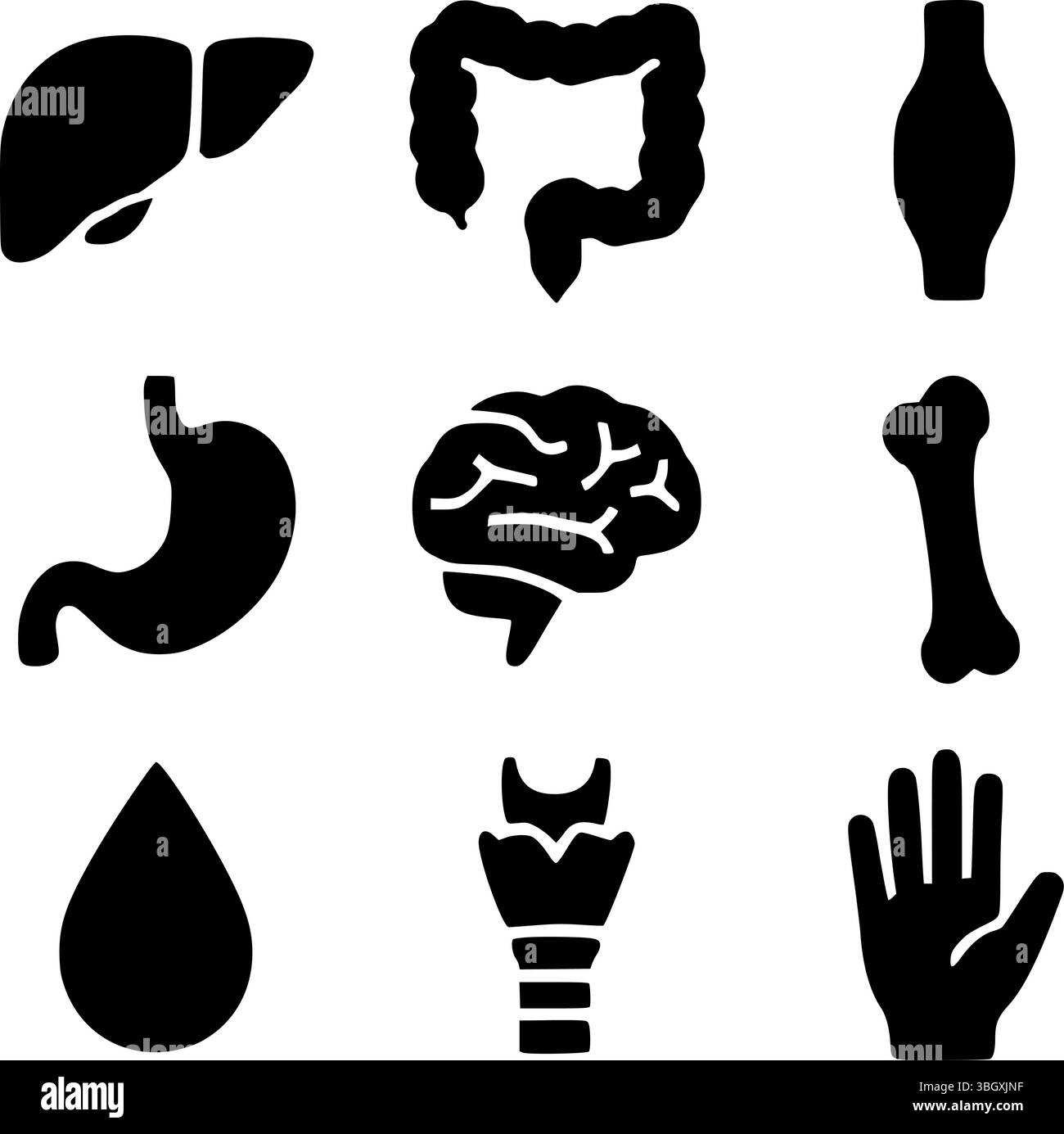 Organi umani interni e parti del corpo silhouette Vector Set | raccolta icone mediche Illustrazione Vettoriale