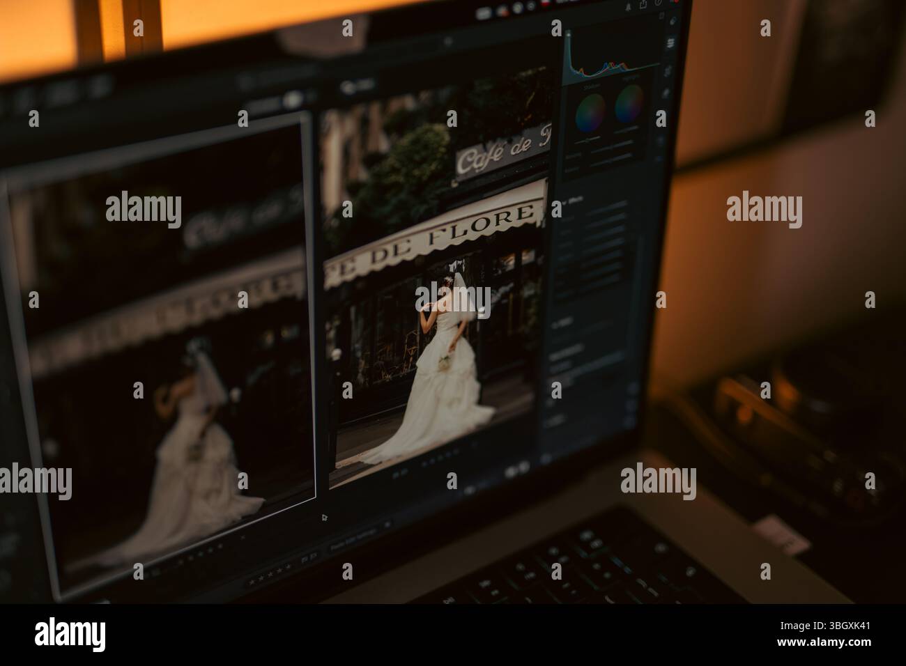 Vista ravvicinata dello schermo di un notebook che mostra una fotografia di matrimonio di una sposa nel suo abito in fase di montaggio. L'immagine sullo schermo mostra la sposa in fro Foto Stock