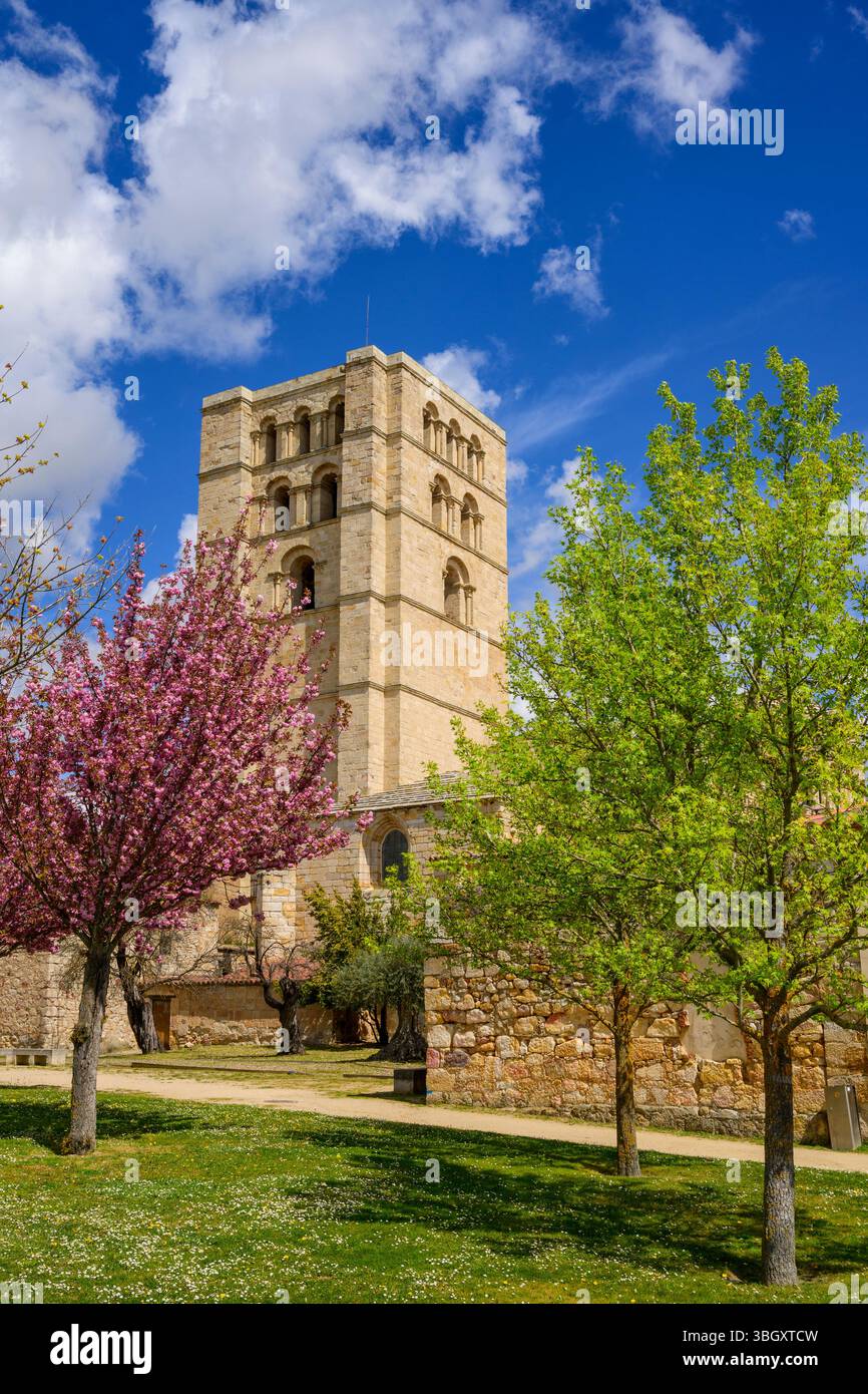 Cattedrale di Zamora, Zamora, Castiglia e León, Spagna Foto Stock