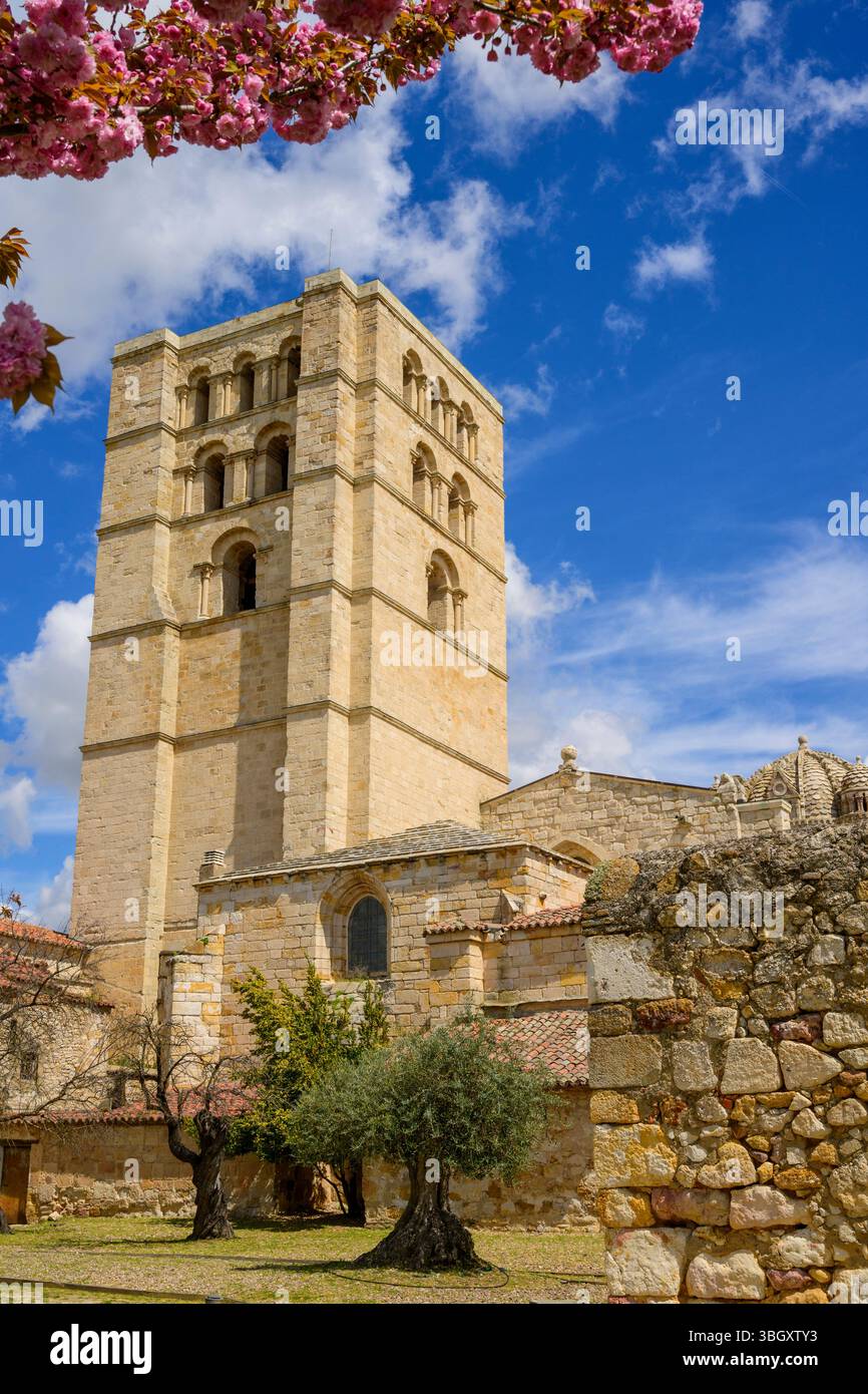 Cattedrale di Zamora, Zamora, Castiglia e León, Spagna Foto Stock