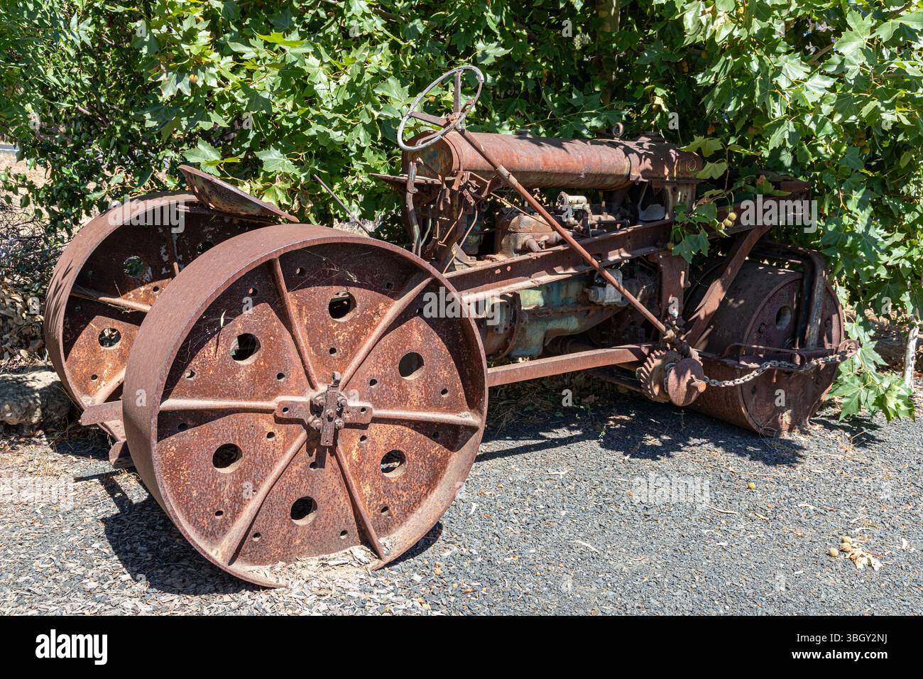 Un vecchio trattore/rullo Fordson arrugginito al Crooked Carrot Cafe di Myalup, nella regione sud-occidentale dell'Australia Occidentale, WA, Australia. Foto Stock