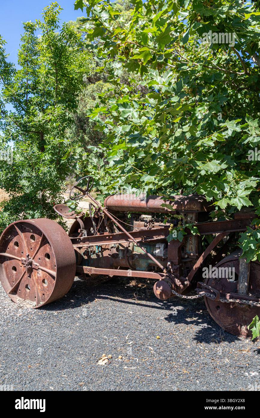 Un vecchio trattore/rullo Fordson arrugginito al Crooked Carrot Cafe di Myalup, nella regione sud-occidentale dell'Australia Occidentale, WA, Australia. Foto Stock