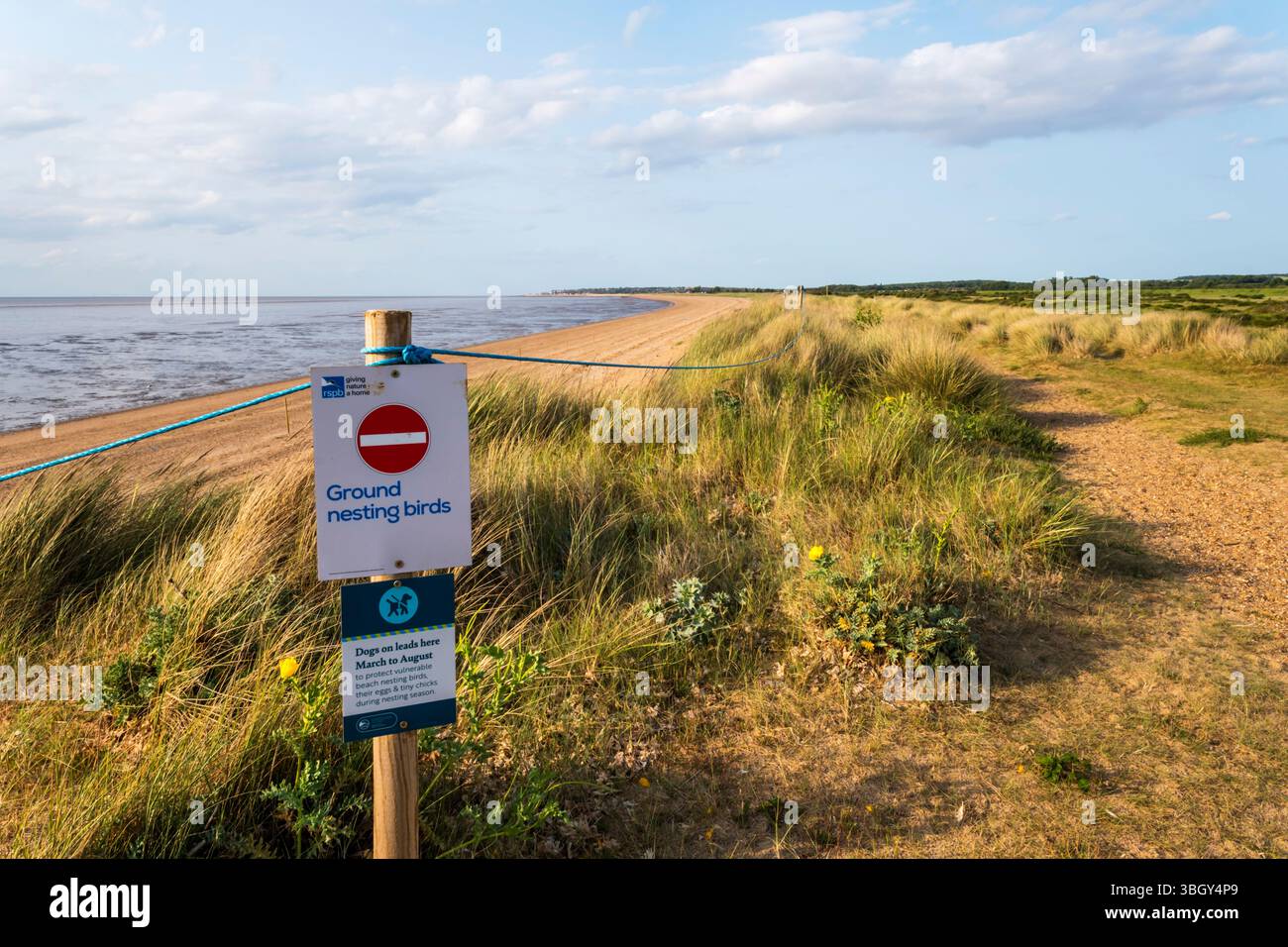 Un cartello "cani in piombo" sulla riva orientale del Wash tra Snettisham e Heacham per proteggere gli uccelli nidificanti sulla spiaggia. Foto Stock