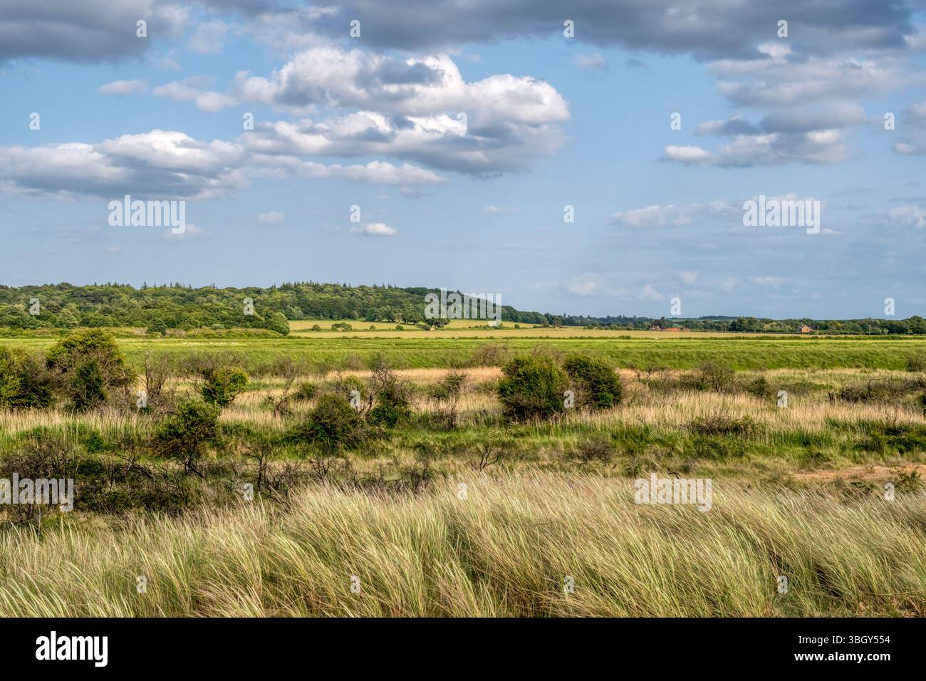 Ken Hill nel West Norfolk visto dal Snettisham Coastal Park sulla riva orientale del Washington. Foto Stock