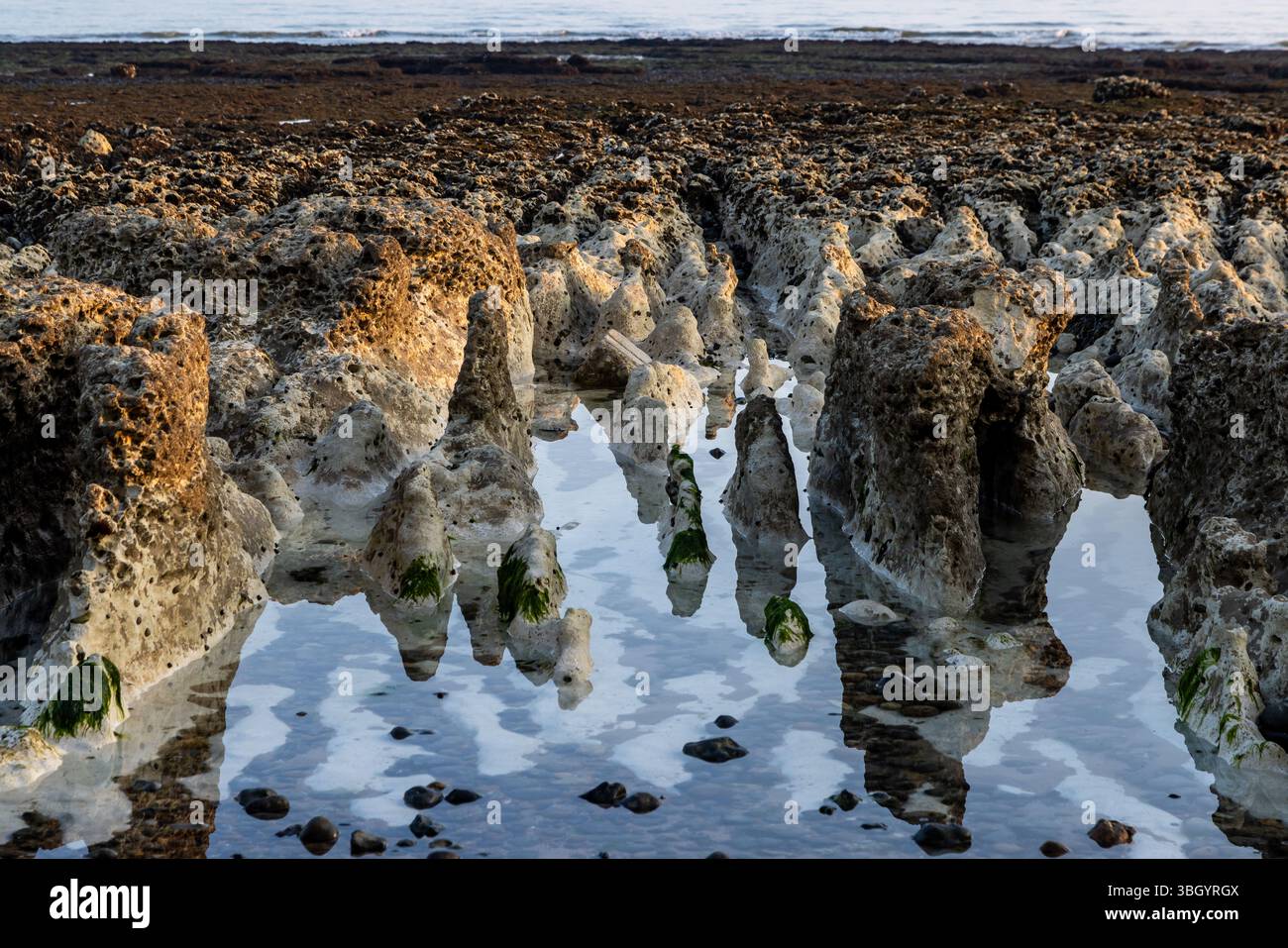 Riflessi delle rocce nell'acqua, durante la bassa marea sulla spiaggia di Peacehaven nel Sussex Foto Stock