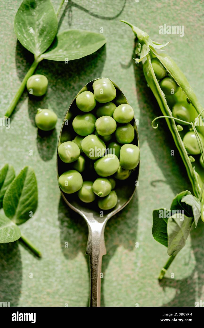 Piselli verdi freschi in baccelli e piselli in un cucchiaio, primo piano Foto Stock