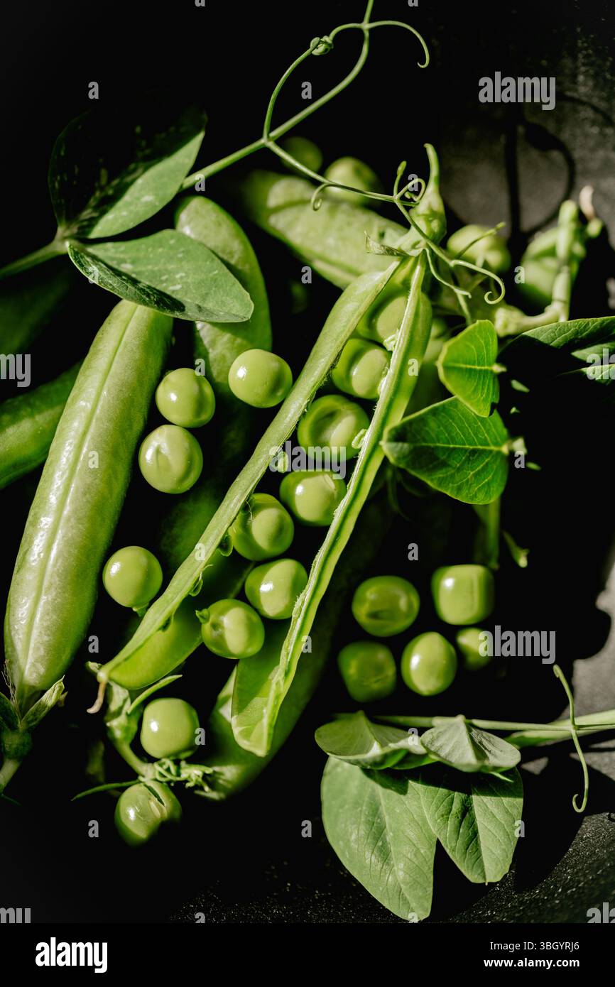 Piselli verdi freschi in baccelli e fagioli su sfondo nero Foto Stock