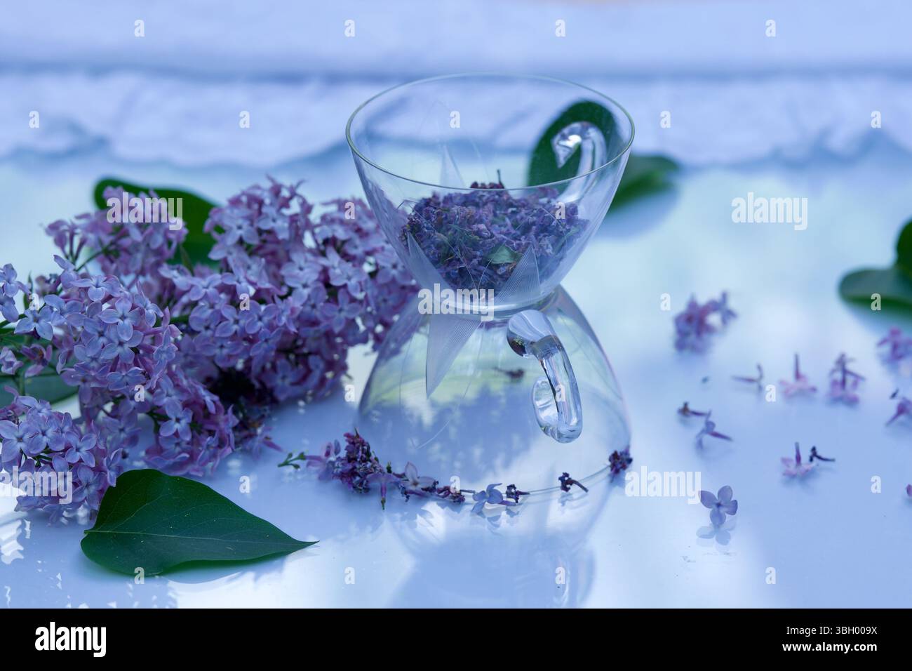 Tazze da tè in vetro con lilla intorno. Foto Stock