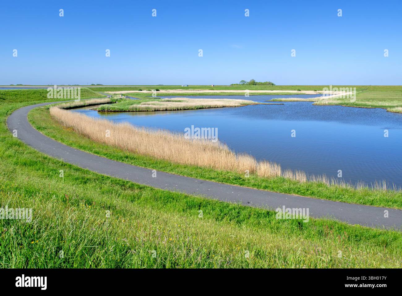 Sentiero e stagno nel polder salmastro nella riserva naturale Zandkes da Natuurmonumenten vicino a Dijkmanshuizen sull'isola di Texel, Olanda settentrionale, Paesi Bassi Foto Stock
