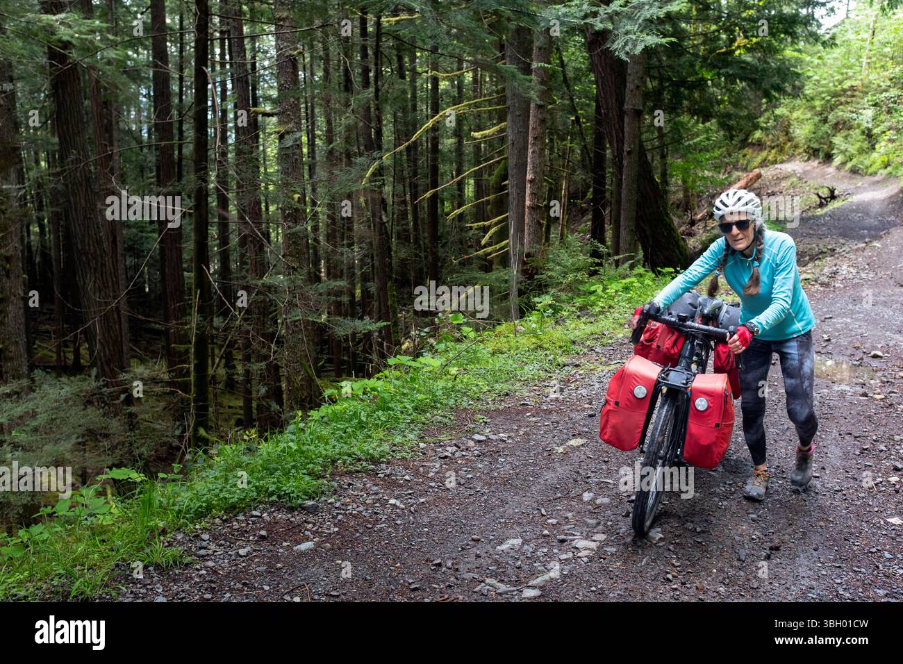 BC00909-00....British Columbia - spingendo su una ripida strada a motore liscio vicino a Port Alberni, parte della Great Northern Bike Packing Route., (GNBR Foto Stock
