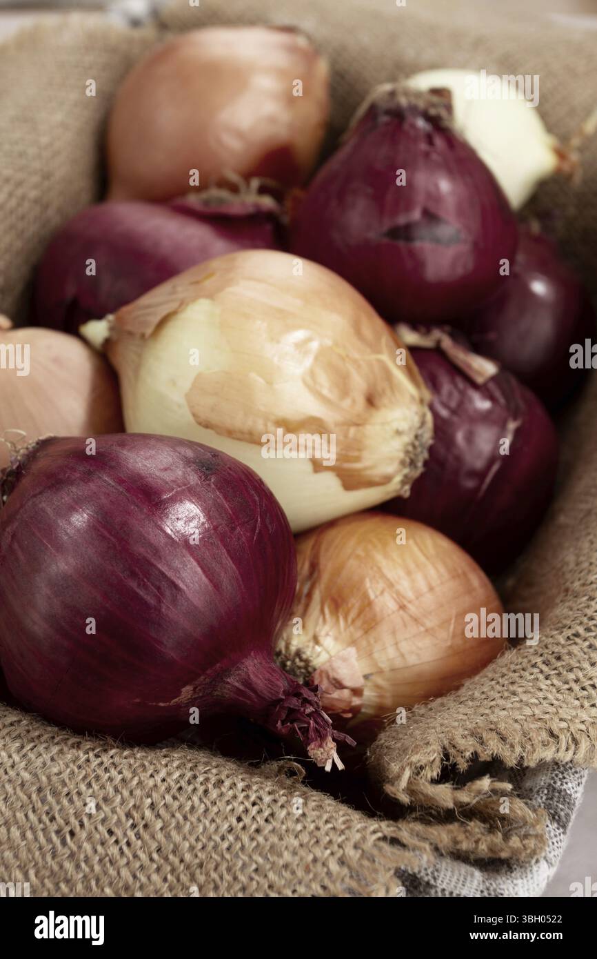 Varie varietà di cipolle, in un cesto, su una superficie di legno, stile rustico, primo piano, nessuna gente Foto Stock