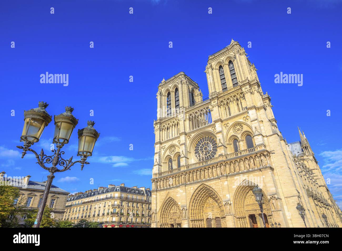 Tipica lampada da strada in ferro con Notre Dame de Paris sullo sfondo, famoso monumento e cattedrale della capitale francese. Architettura gotica francese Foto Stock