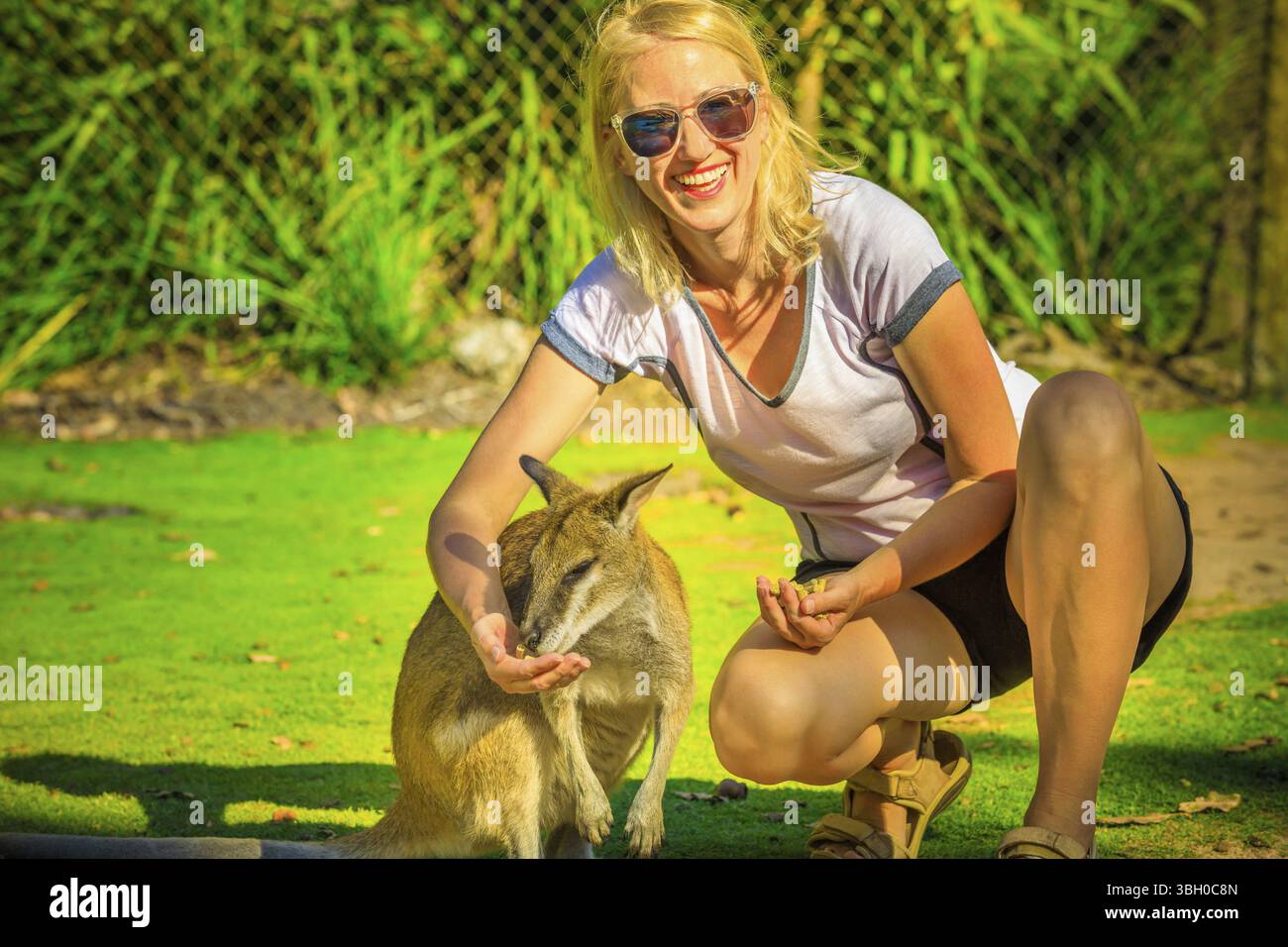 Felice bionda donna caucasica che mangia canguro in natura. Il turista femminile ama gli animali australiani icona del paese. Whiteman, vicino a Perth in Occidente Foto Stock
