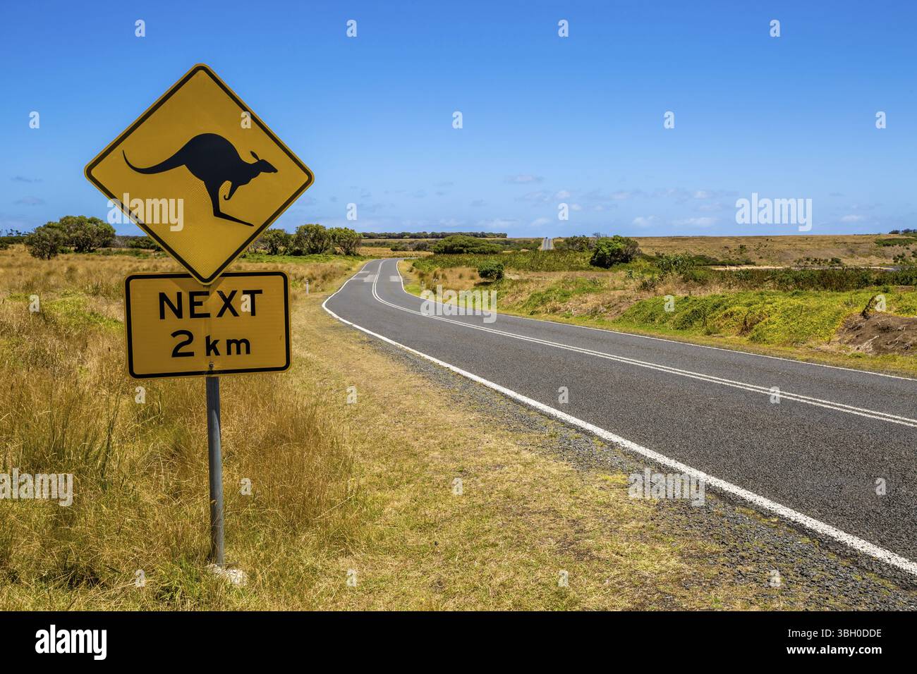 Segnale di avvertimento per kangaroo attraversando il paese Austalian road Foto Stock
