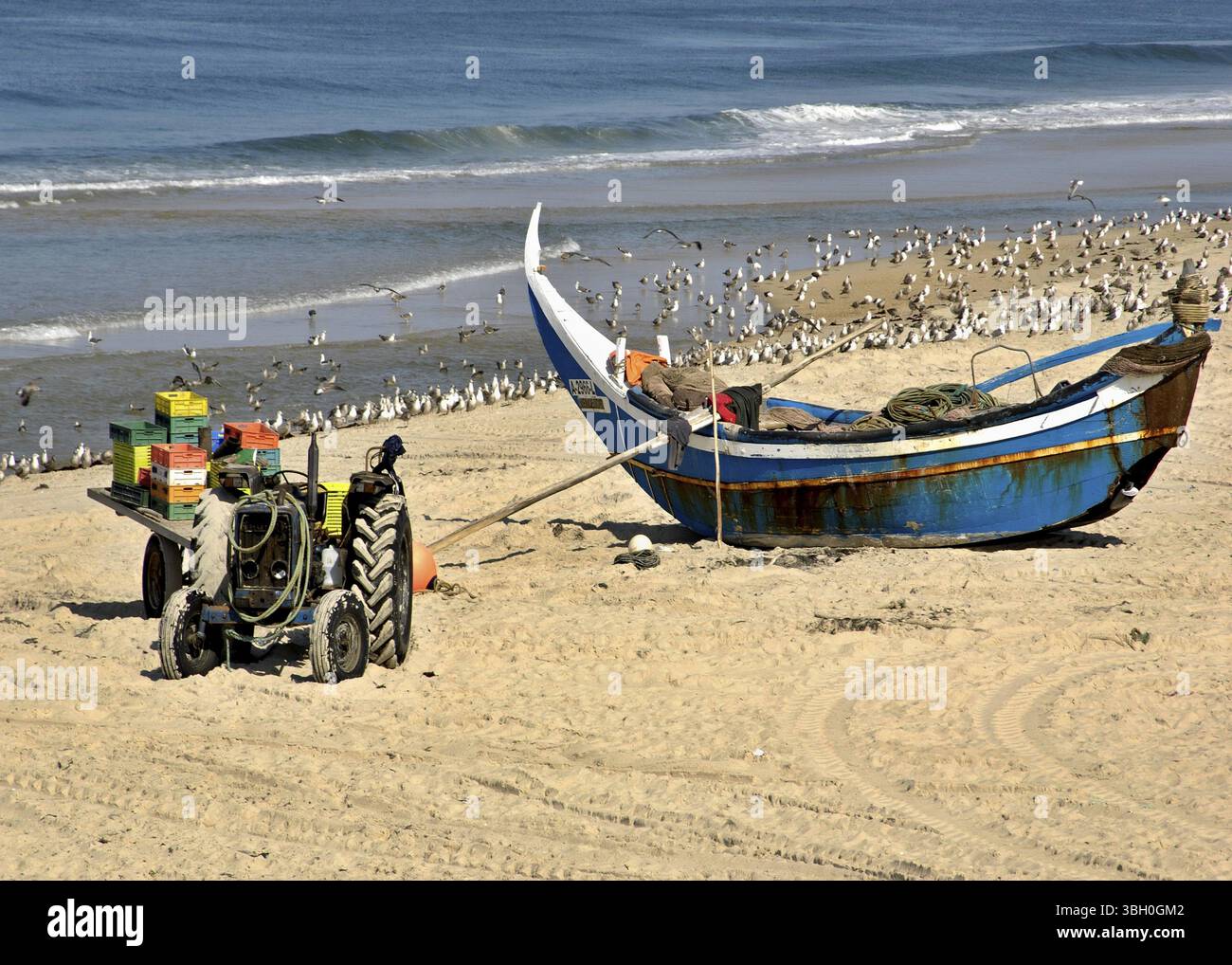 Tipica barca da pesca sulla spiaggia atlantica sulla costa occidentale del Portogallo. Le barche vengono trascinate a terra con i trattori Foto Stock