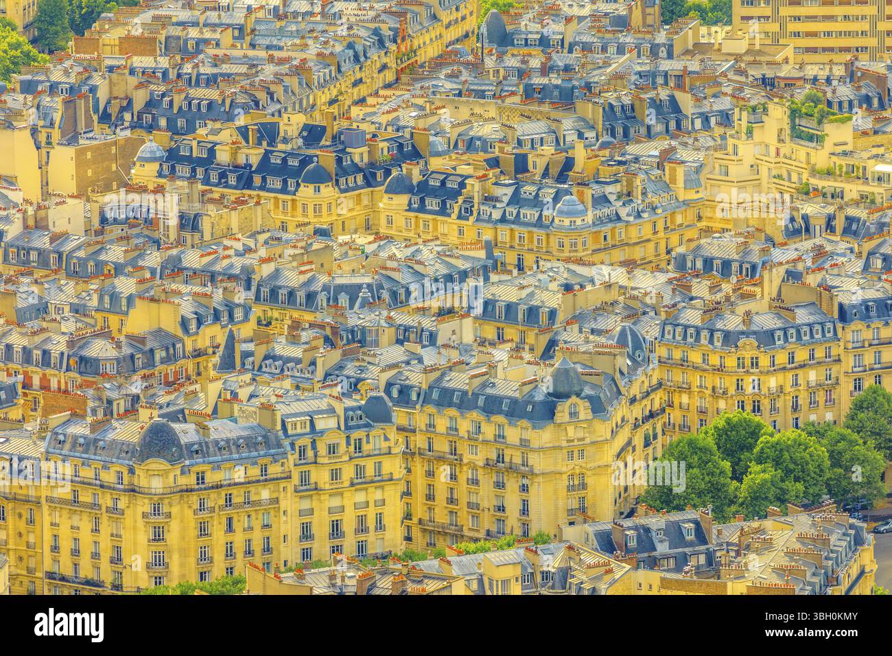 Vista aerea dello skyline del centro cittadino dai tetti parigini dal ponte dell'osservatorio Tour de Montparnasse. Skyline urbano di Parigi e paesaggio urbano al tramonto. Stile parigino Foto Stock