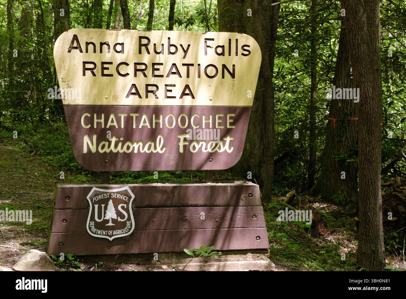 Anna Ruby Falls Recreation area Sign in Chattahoochee National Forest vicino Helen, Georgia Foto Stock
