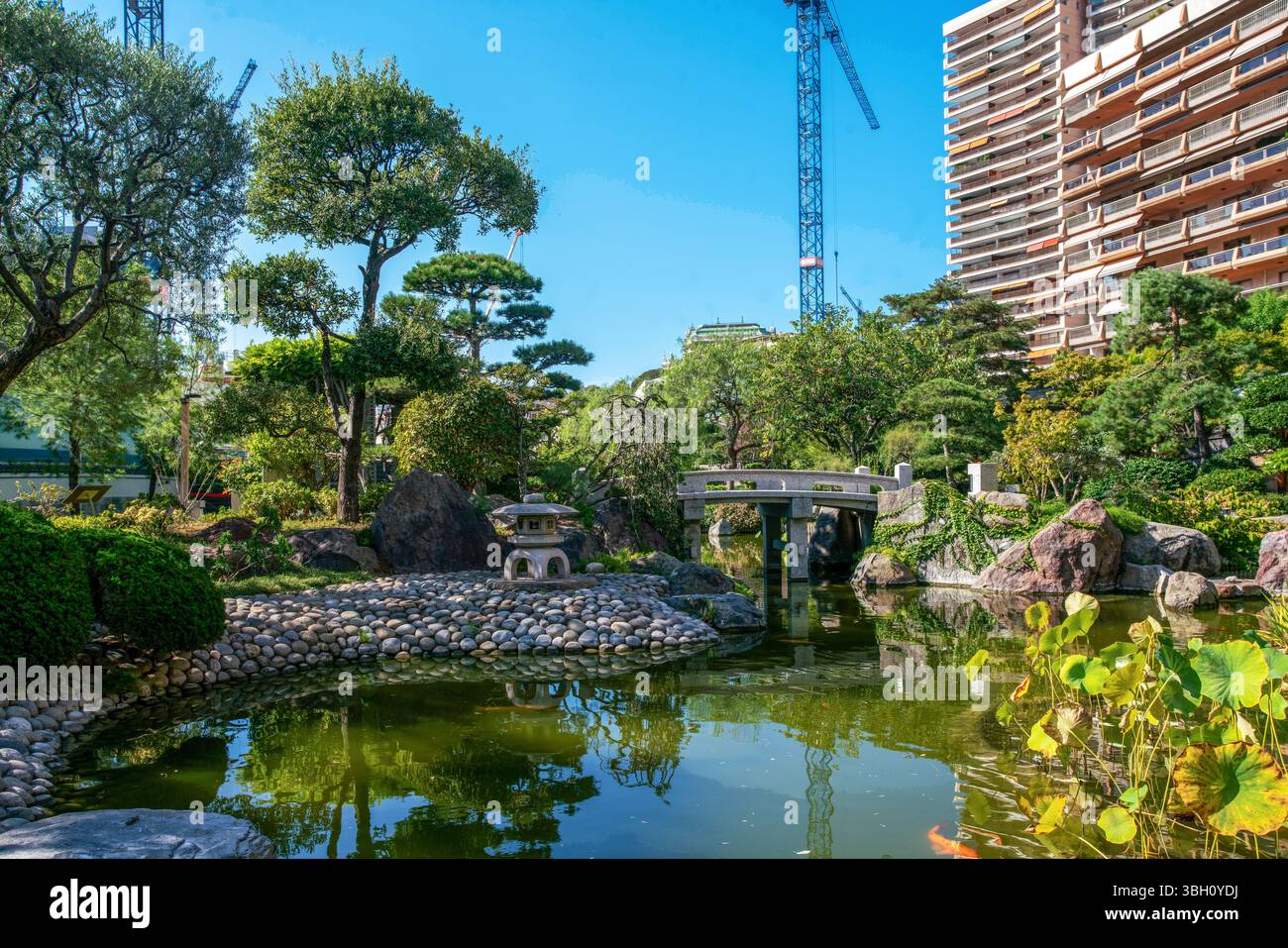 Giardino giapponese con laghetto, ponte e piante d'acqua a Monaco - stupore estate! Dietro il grattacielo - edifici residenziali e macchinari per gru Foto Stock