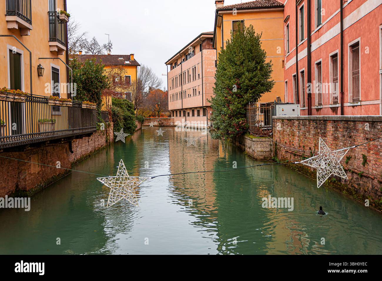 La magia del Natale tra i canali di Treviso Foto Stock