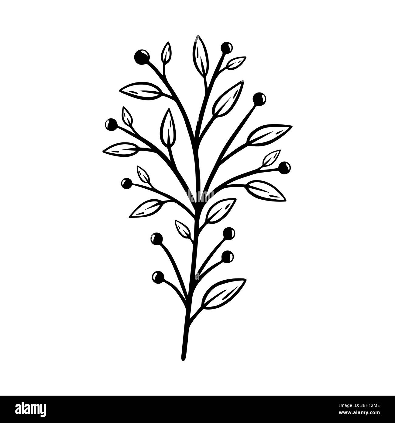 Ramo di una pianta con bacche e foglie. Elemento botanico disegnato a mano. Illustrazione vettoriale isolata su sfondo bianco. Illustrazione Vettoriale