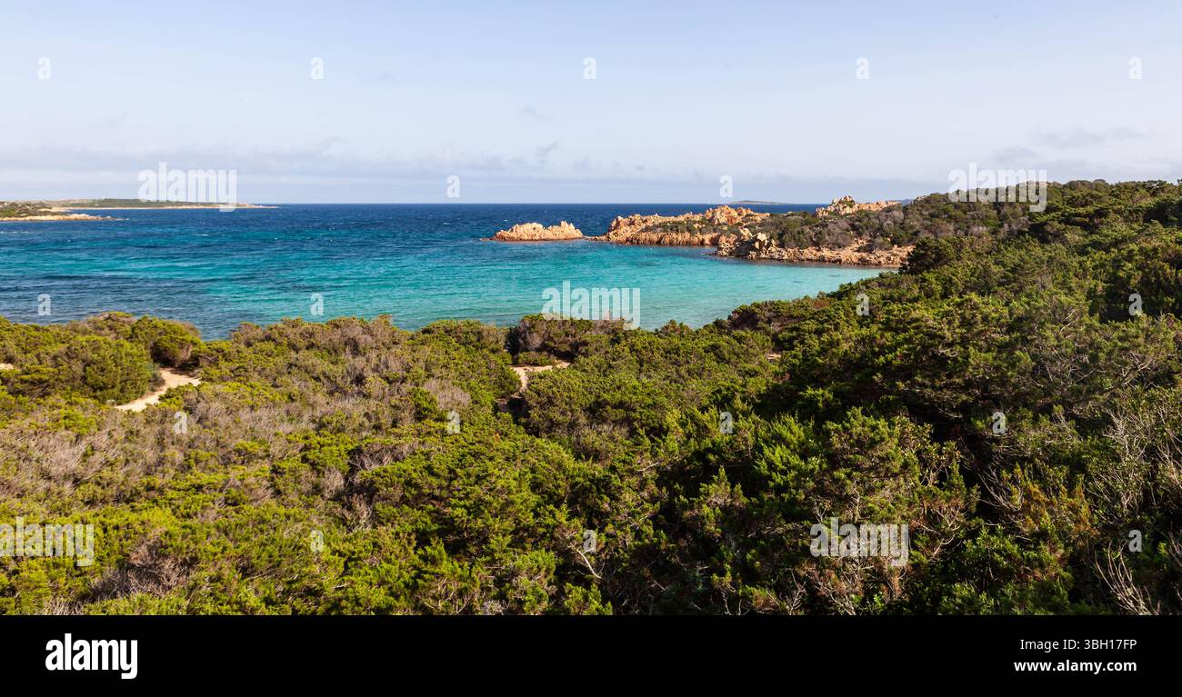 Una vista panoramica di Cala Andreani sull'isola di Caprera, in Italia. I cespugli di ginepro fiancheggiano la costa e si affacciano sul turchese Mar Mediterraneo. Foto Stock