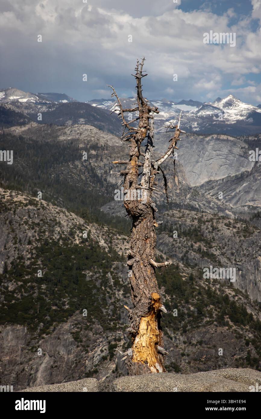 Le viste mozzafiato da Glacier Point offrono alcune delle più iconiche prospettive della Yosemite Valley. Foto Stock