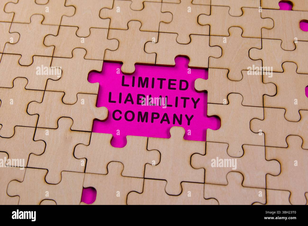 Manca un pezzo di puzzle etichettato società a responsabilità limitata, che mette in risalto l'importanza della struttura aziendale. Foto Stock