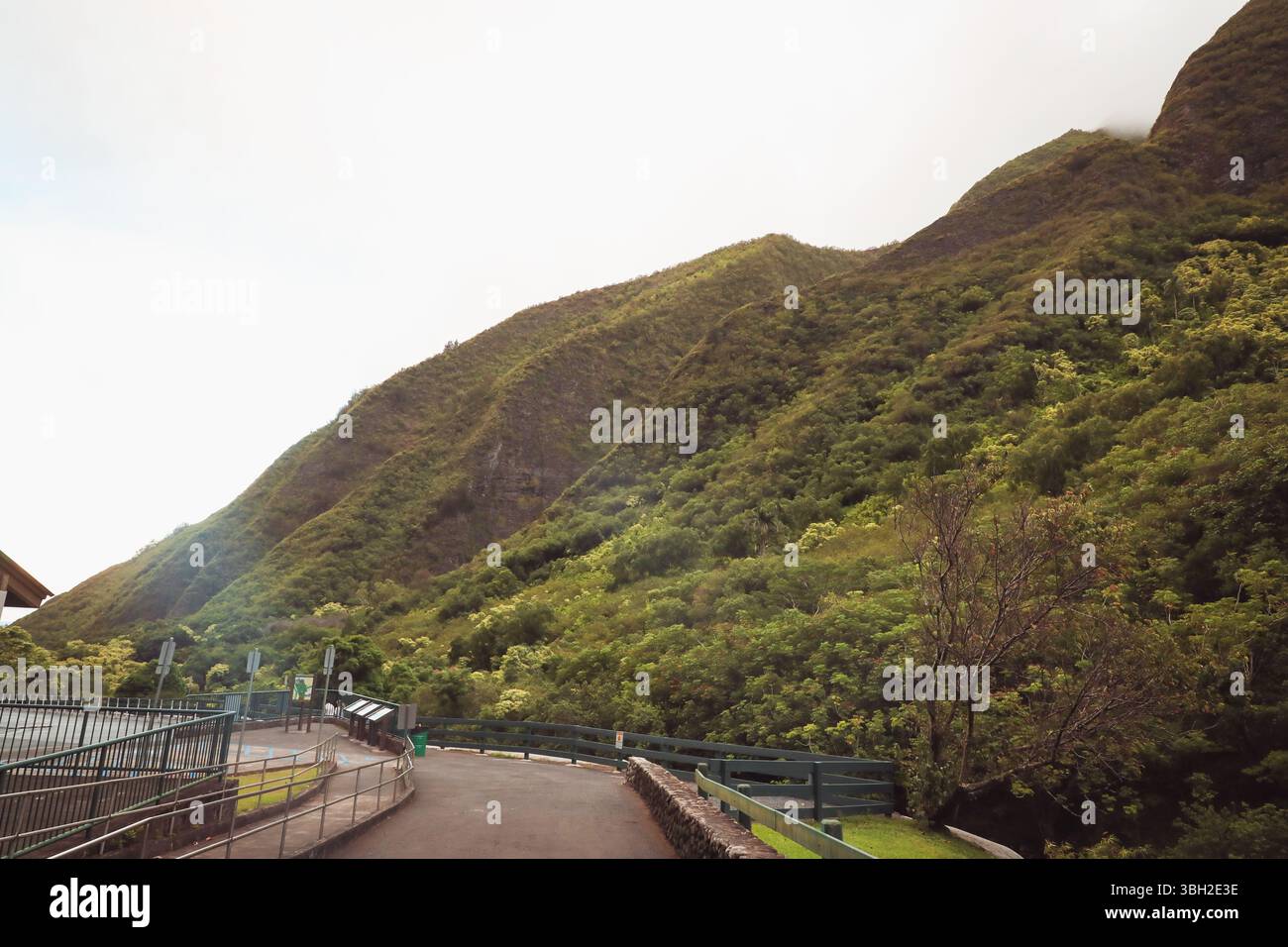 Una vista dell'ago di Iao con le nuvole dietro di esso. Foto scattata all'Iao Valley State Park, Maui, Hawaii Foto Stock
