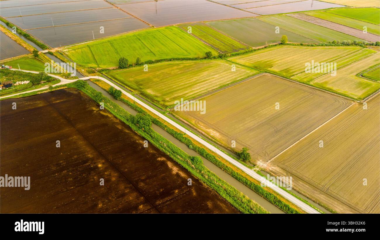 Schema agricolo aereo con canali d'acqua nel Piemonte rurale Foto Stock