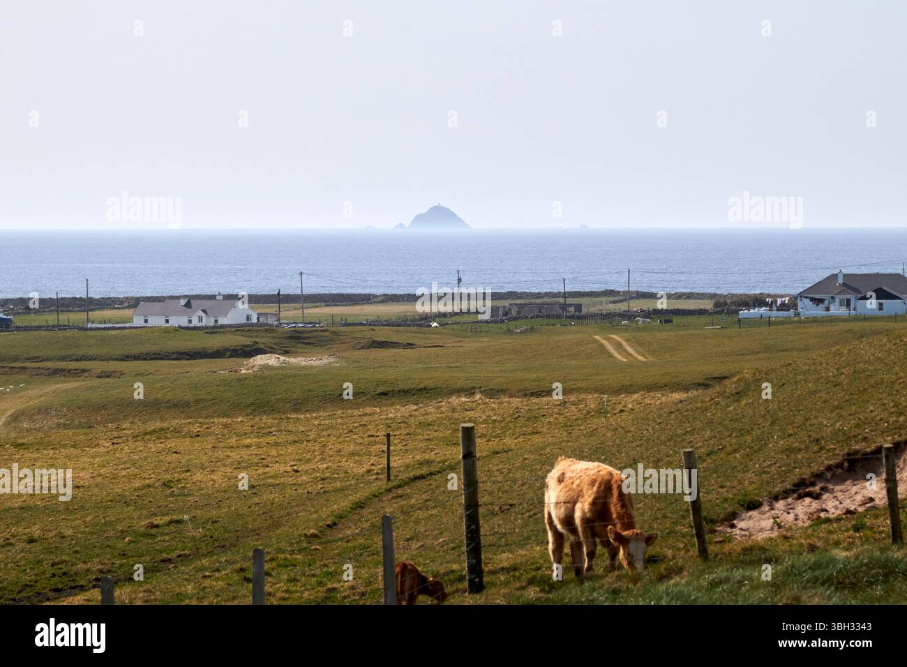 affacciato sull'isola di blackrock dalla contea di falmore mayo, repubblica d'irlanda Foto Stock