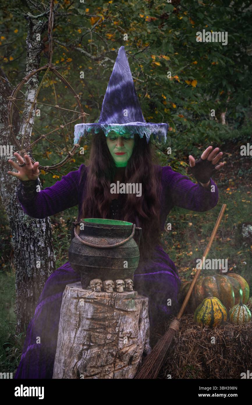 Strega vestita di viola, che lancia incantesimi su un calderone verde luminoso nel bosco Foto Stock