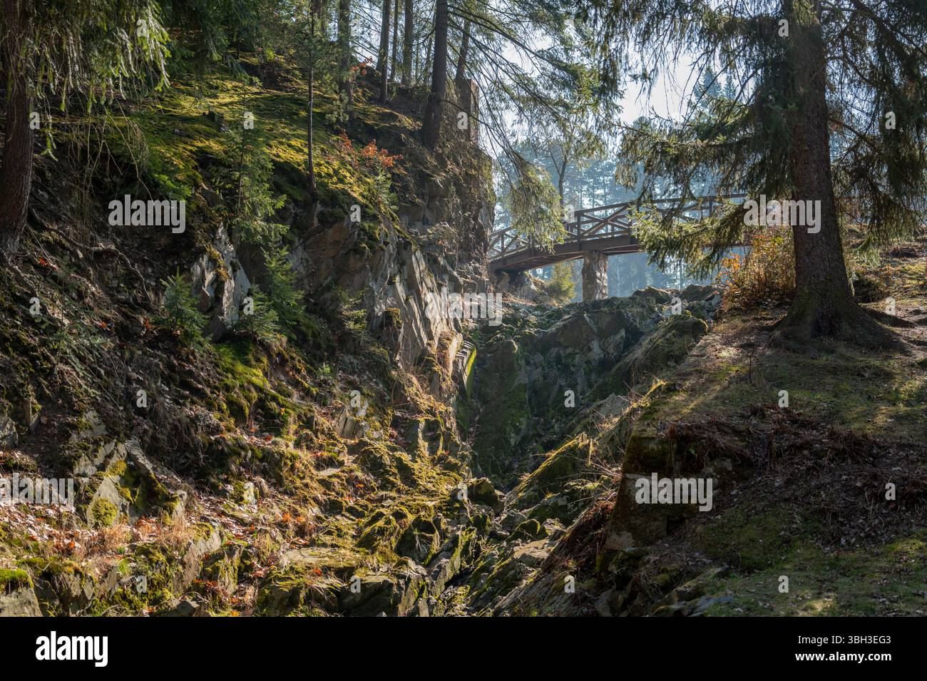 Il ponte in legno attraversa una profonda gola della foresta circondata da rocce muschiate, alti pini e dalla luce del sole soffusa sul terreno. Foto Stock