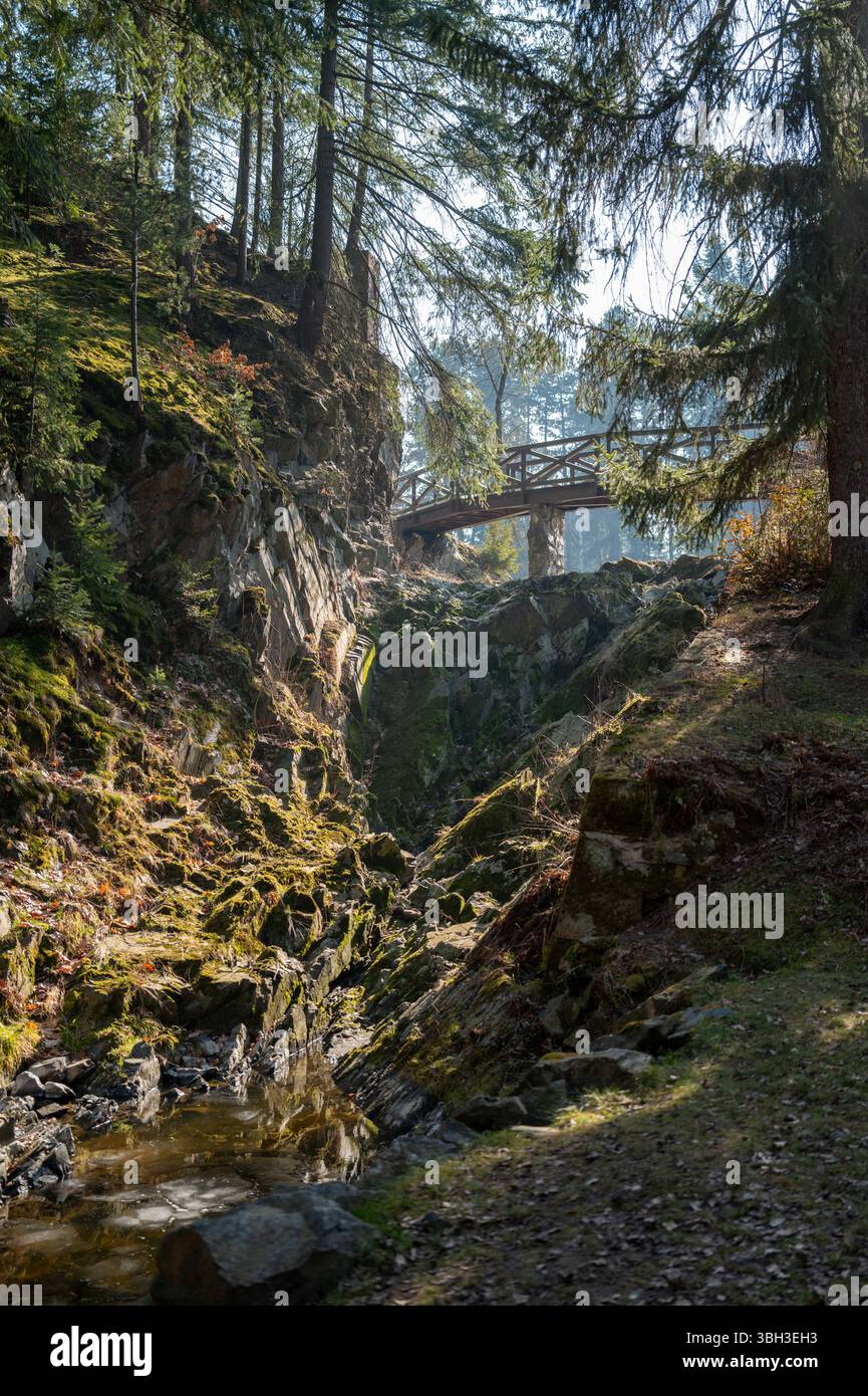Il ponte in legno attraversa una profonda gola della foresta circondata da rocce muschiate, alti pini e dalla luce del sole soffusa sul terreno. Foto Stock
