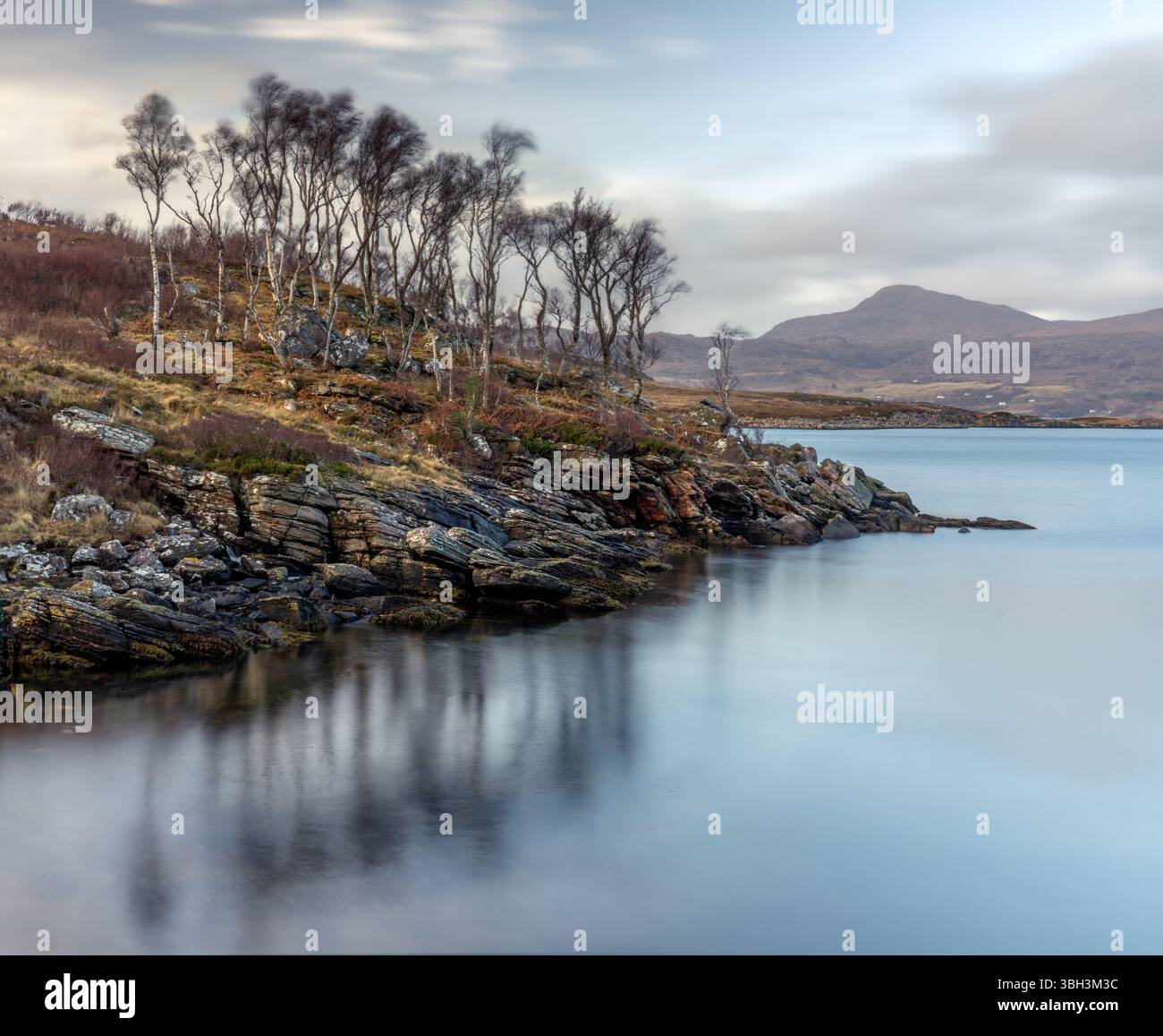 Alberi riflessi su un lago a Torridon Foto Stock