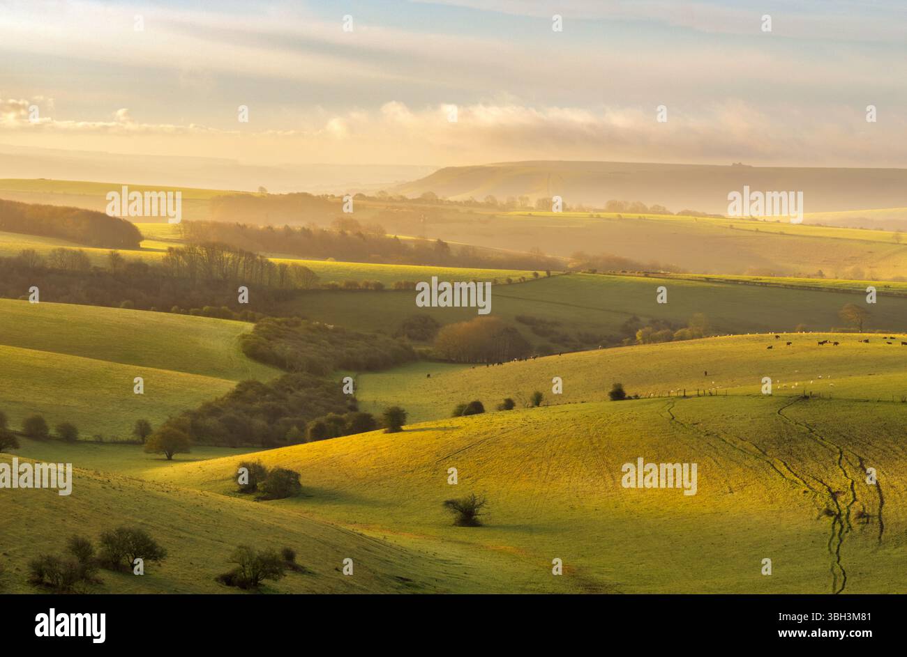 La luce del mattino presto illumina le South Downs di Ditchling Beacon Foto Stock