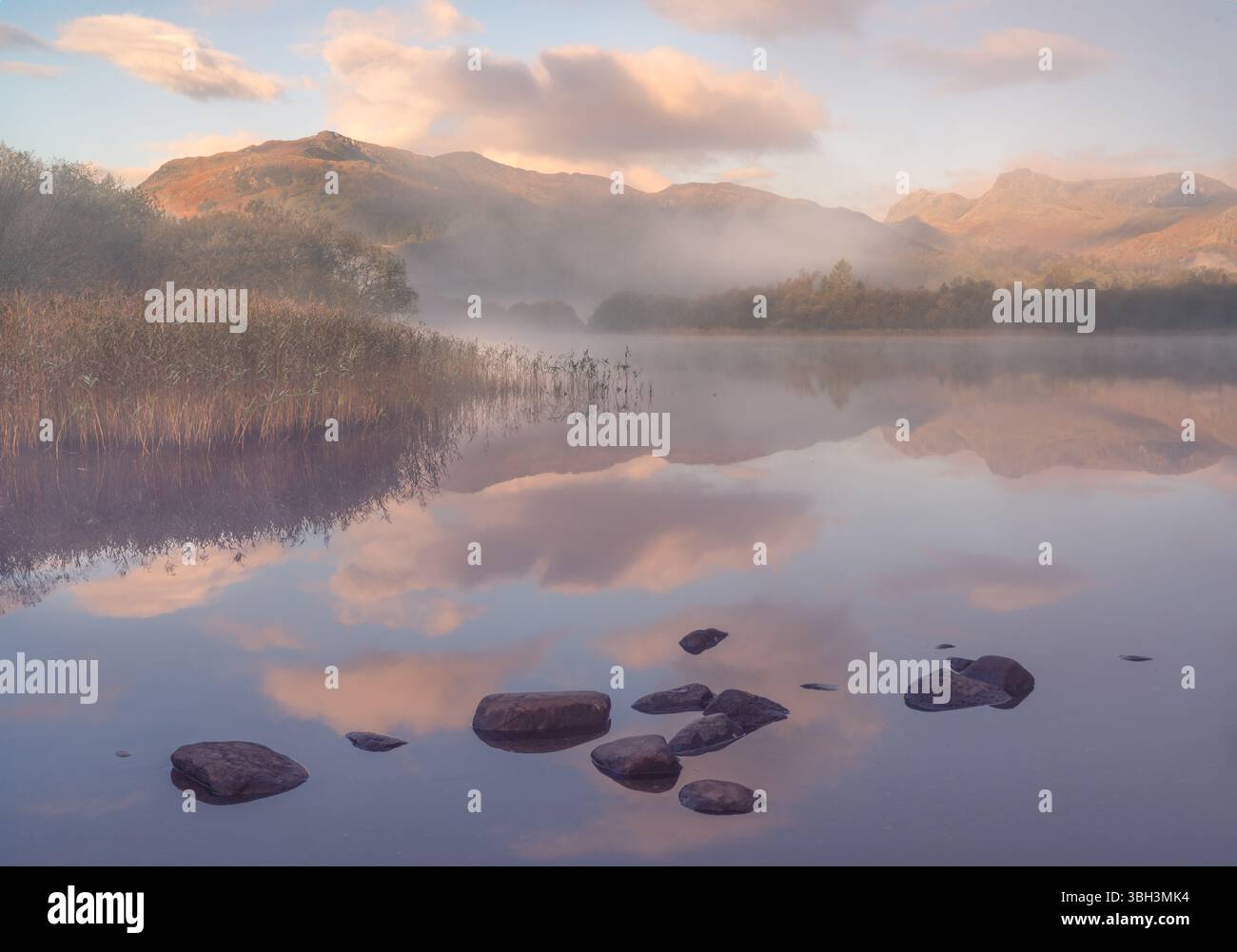 Riflessi di Elterwater in una mattina nebbiosa nel Lake District Foto Stock