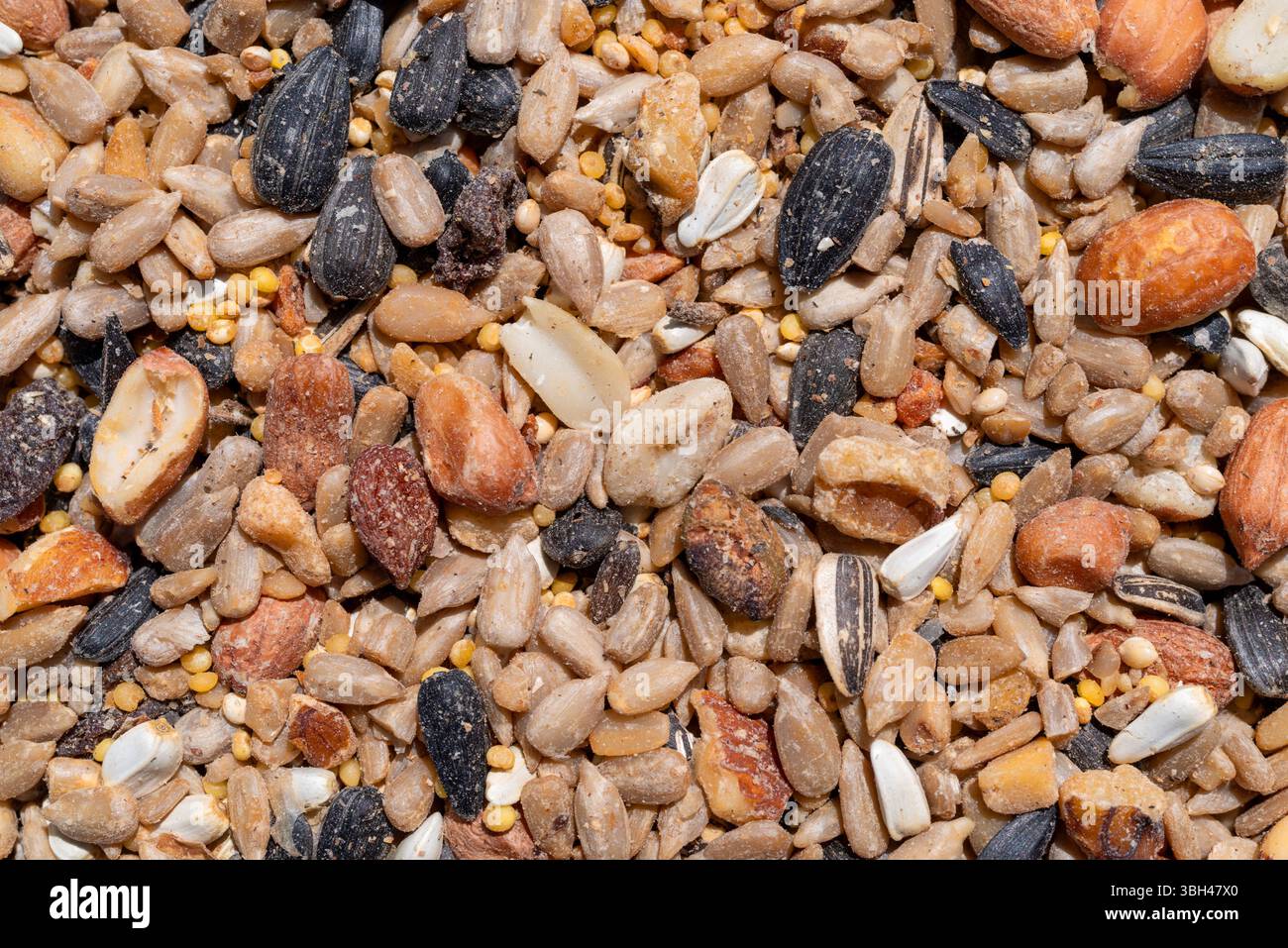Vista ravvicinata del cibo degli uccelli selvatici con noci e uvetta. Foto Stock